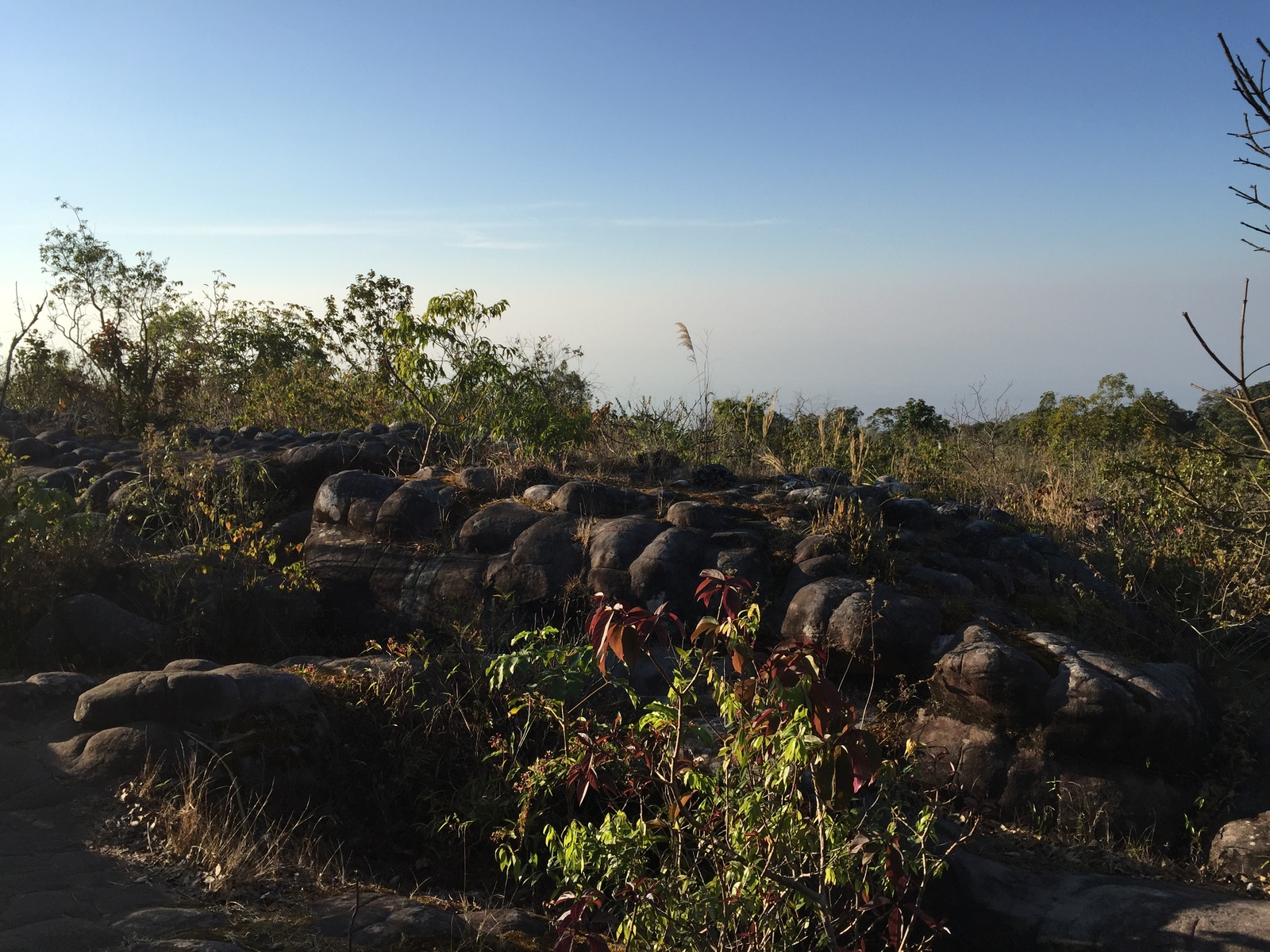 照片 泰国(Thailand) 普欣隆卡国家公园(Phu Hin Rong Kla National Park) 2014-12 97