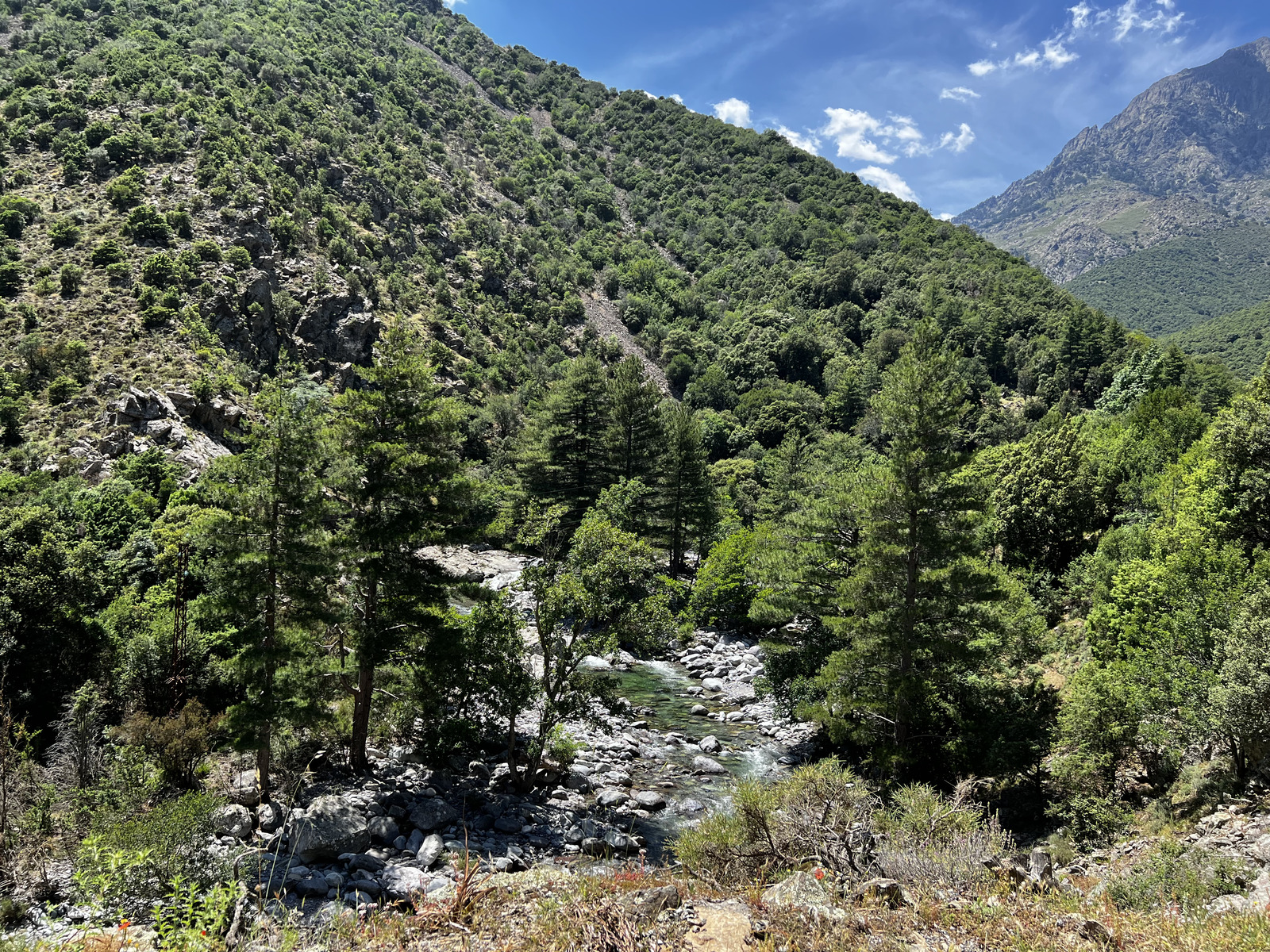 照片 法国(France) 科西嘉岛(Corsica) 阿斯科(Asco) 2023-06 20