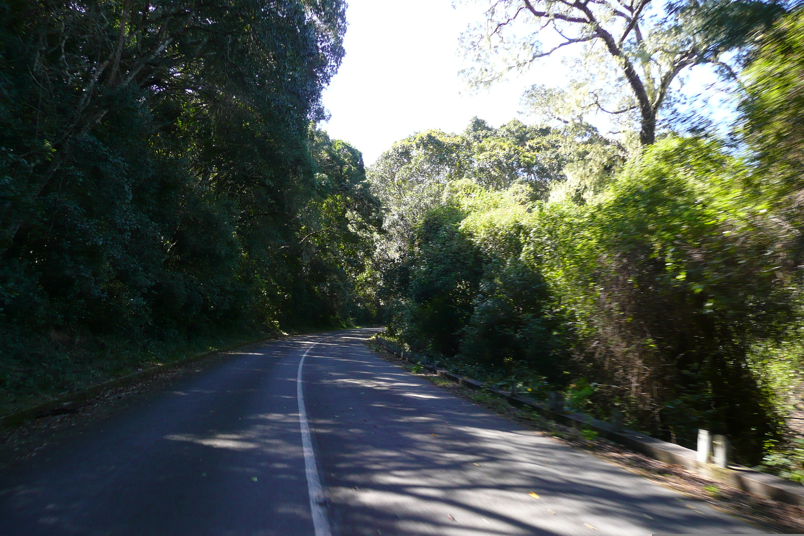 照片 南非(South Africa) 自然谷(Nature's Valley) 2008-09 47