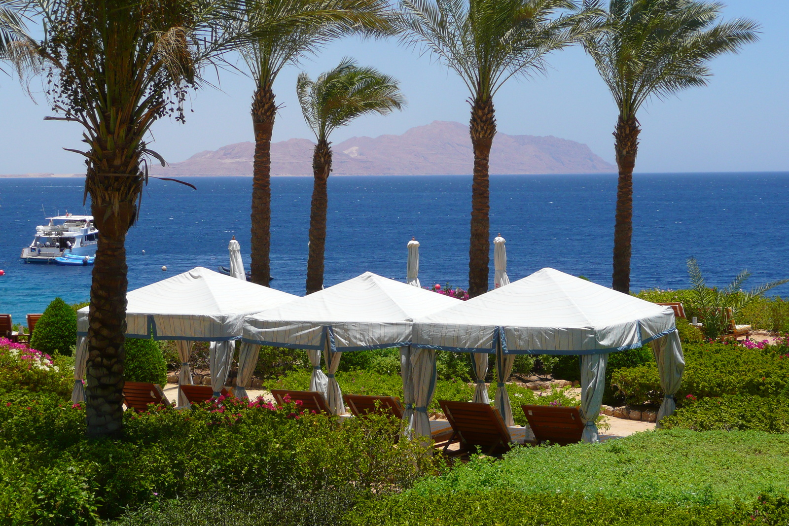 照片 埃及(Egypt) 沙姆沙伊赫(Sharm el Sheikh) 四季酒店(Four Seasons Hotel) 四季酒店海滩(Four Seasons Beach) 2008-06 3
