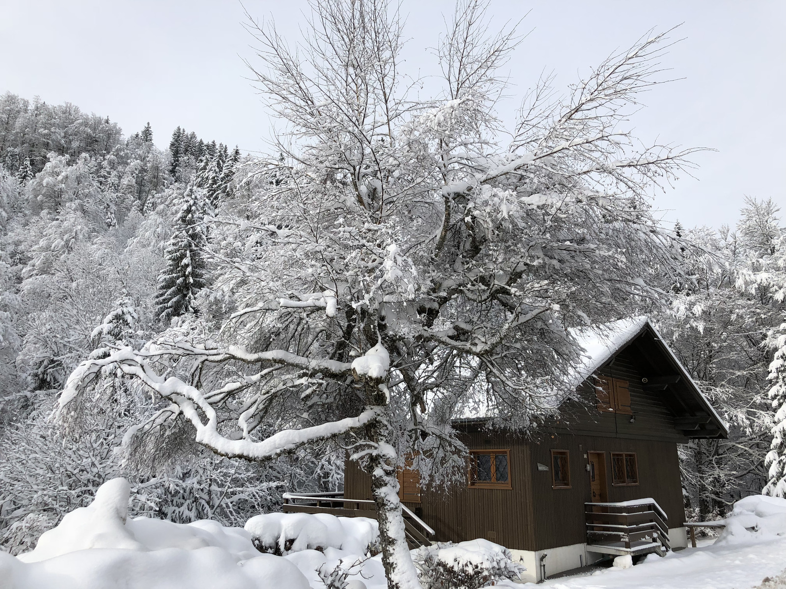 照片 法国(France) 拉克吕萨(La Clusaz) 2017-12 10