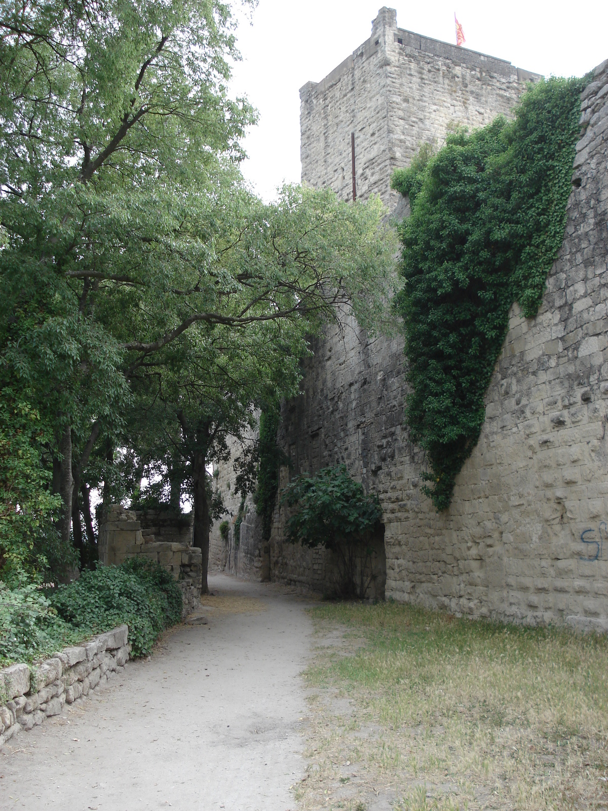 照片 法国(France) 索米耶尔(Sommieres) 2006-06 59