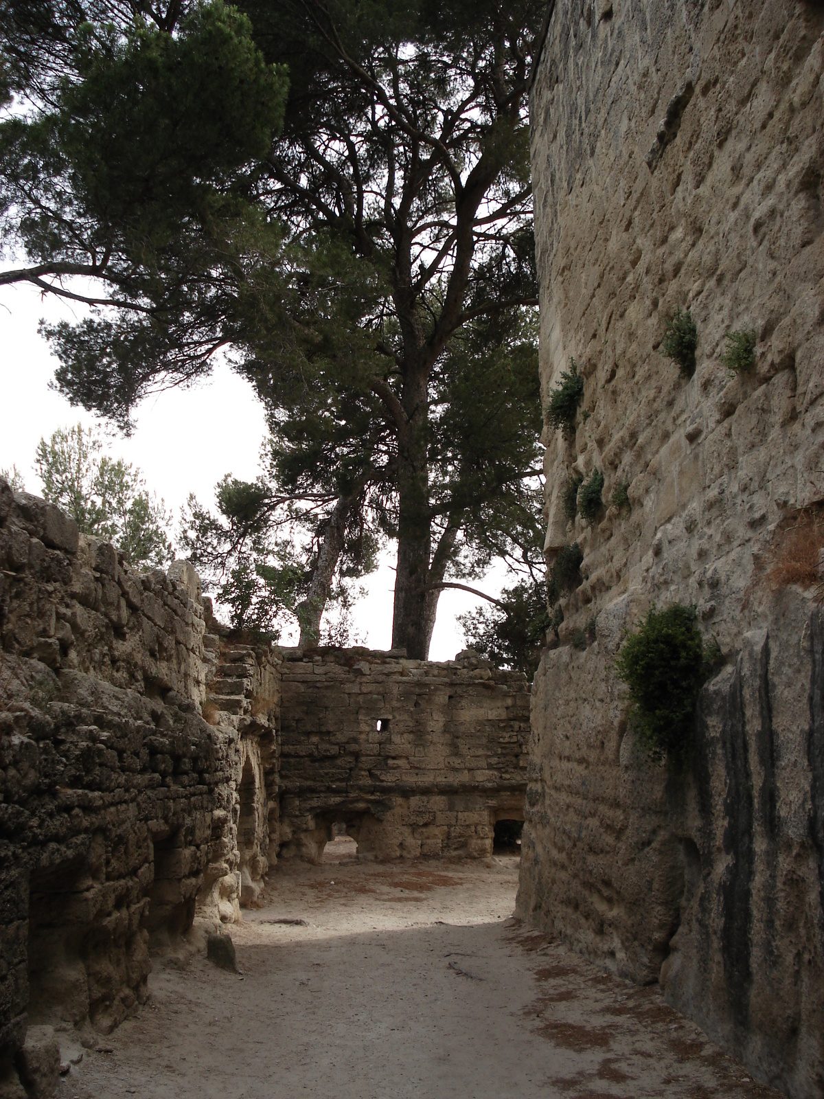 照片 法国(France) 索米耶尔(Sommieres) 2006-06 70
