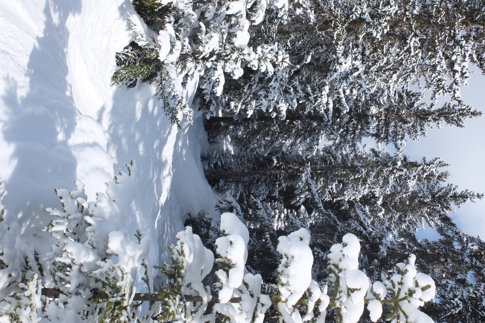 照片 法国(France) 三峡谷滑雪场(Les 3 Vallees) 2013-03 180