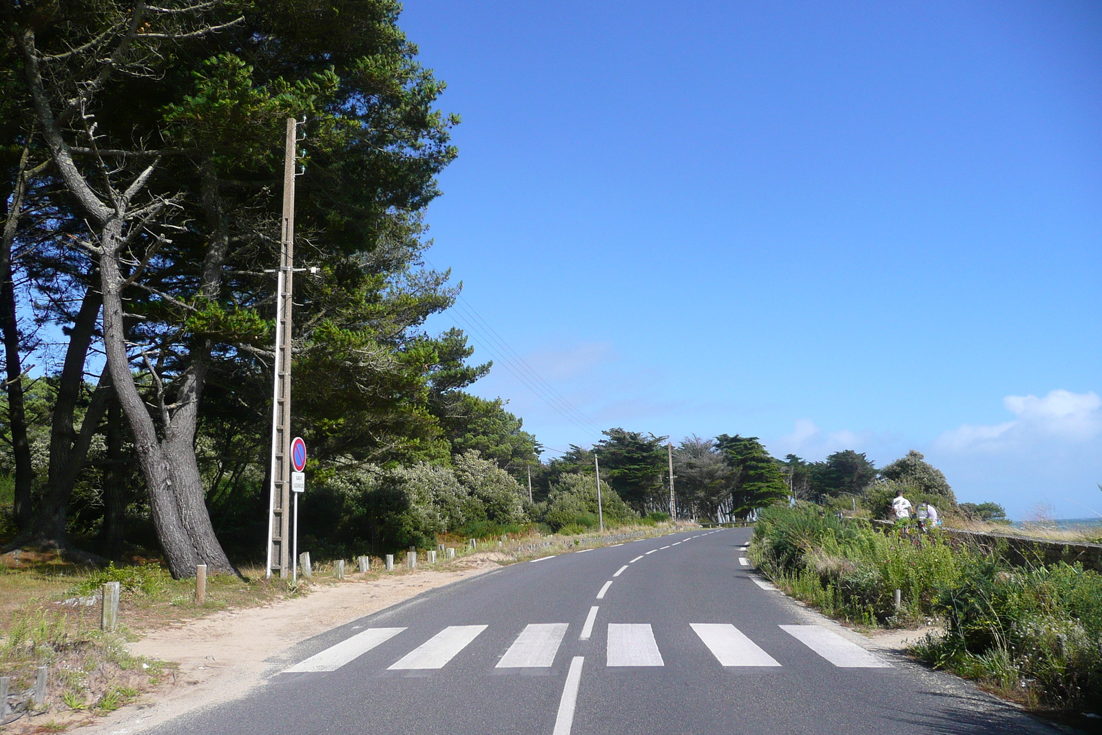 照片 法国(France) 圣菲利贝尔(Saint Philibert) 2008-07 20