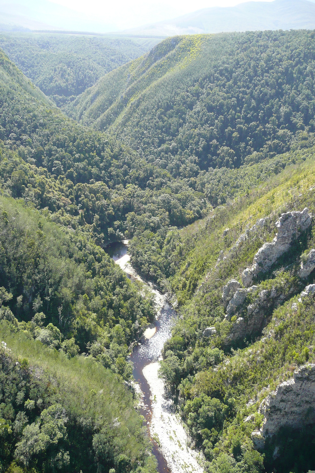照片 南非(South Africa) 布劳克朗斯大桥(Bloukrans Bridge) 2008-09 0