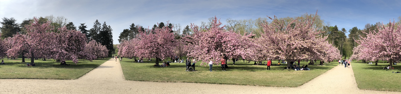 照片 法国(France) 索镇公园(Parc de Sceaux) 2019-04 69