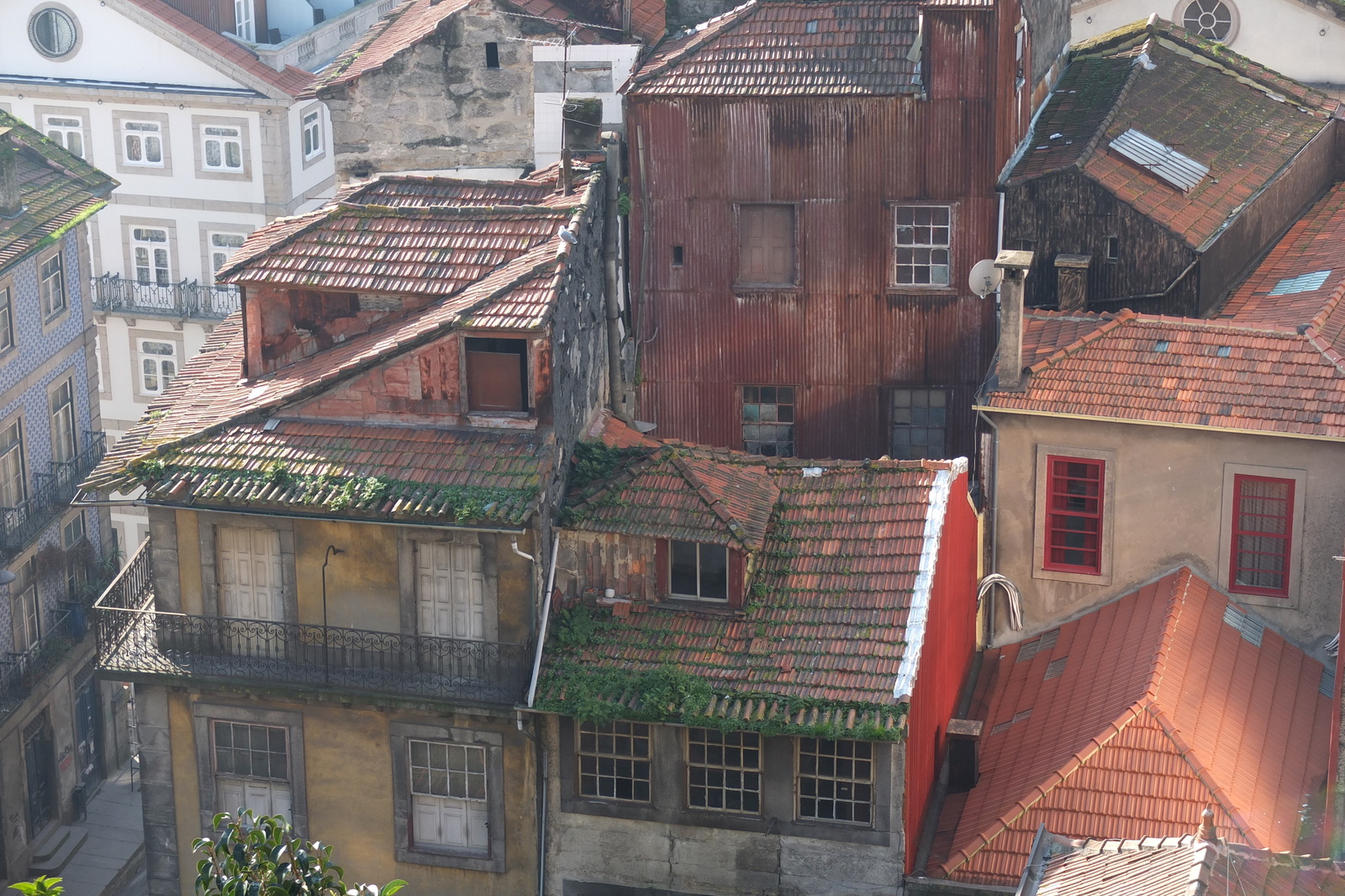 照片 葡萄牙(Portugal) 波尔托(Porto) 2013-01 173