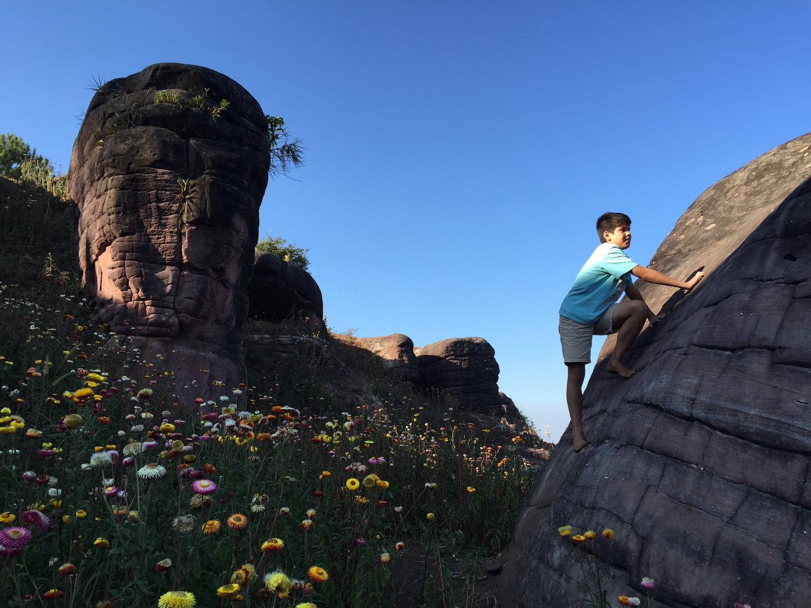 照片 泰国(Thailand) 普欣隆卡国家公园(Phu Hin Rong Kla National Park) 2014-12 379