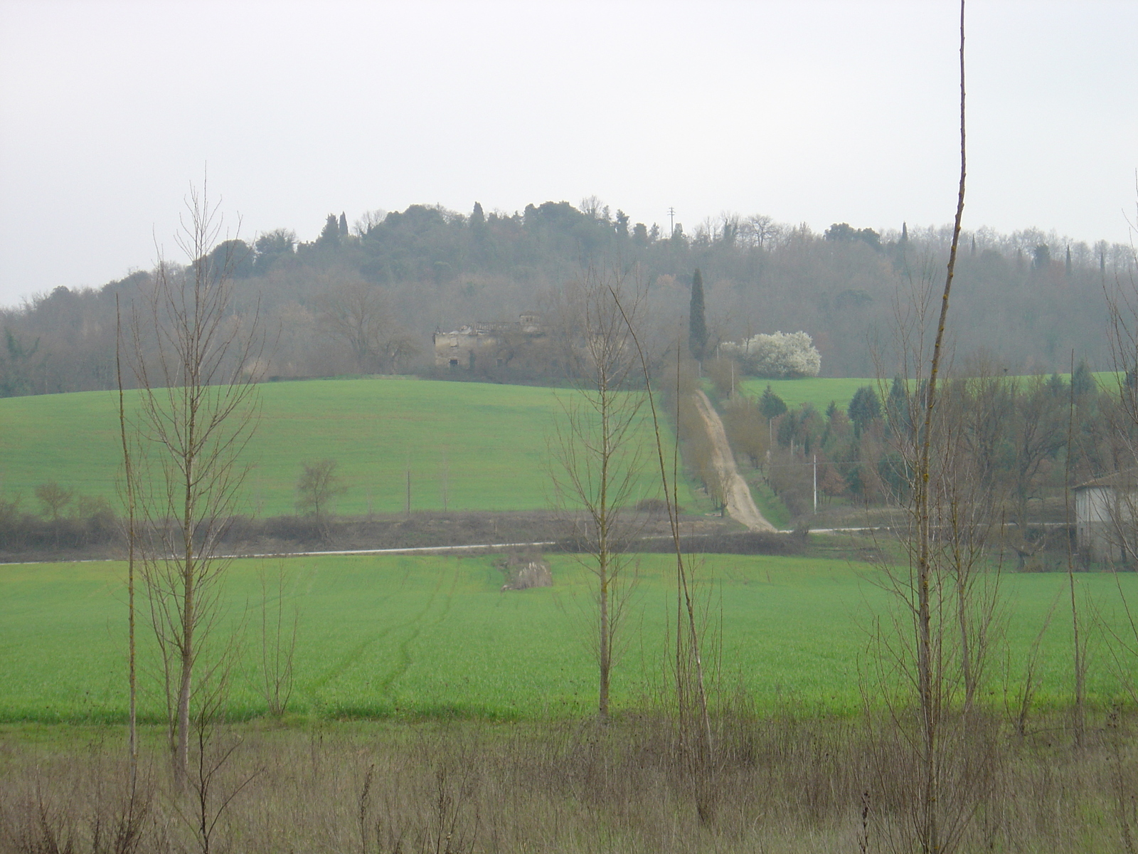 照片 意大利(Italy) 蒙泰里焦尼(Monteriggioni) 2004-03 15