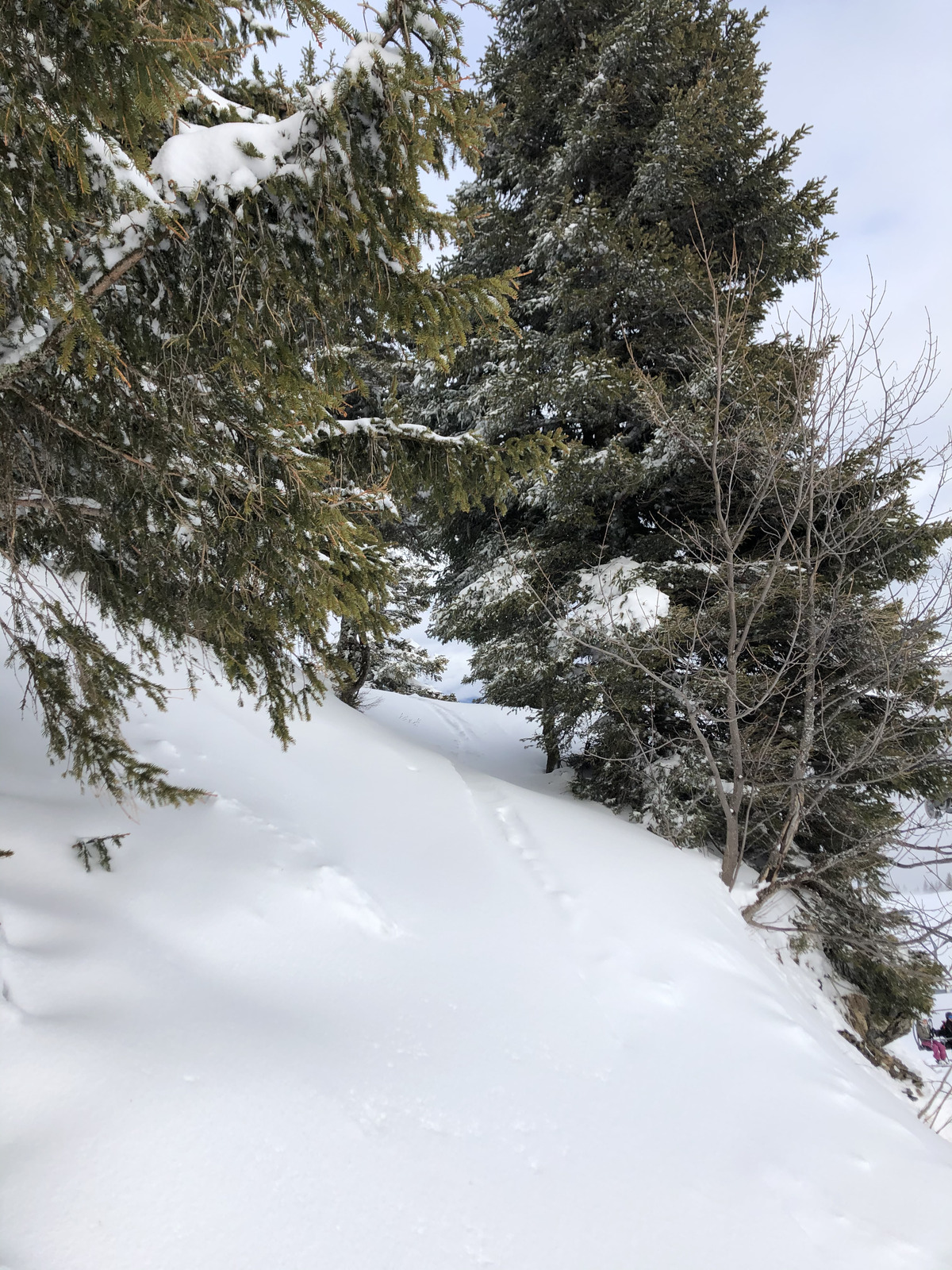 照片 法国(France) 阿尔利河畔普拉(Praz sur Arly) 2019-12 406