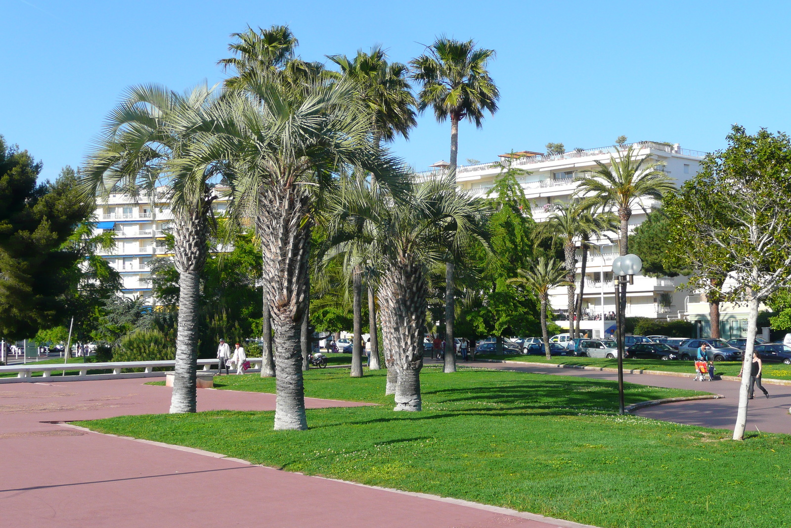 照片 法国(France) 戛纳(Cannes) 皮埃尔·康托港(Port Pierre Canto) 2008-05 27