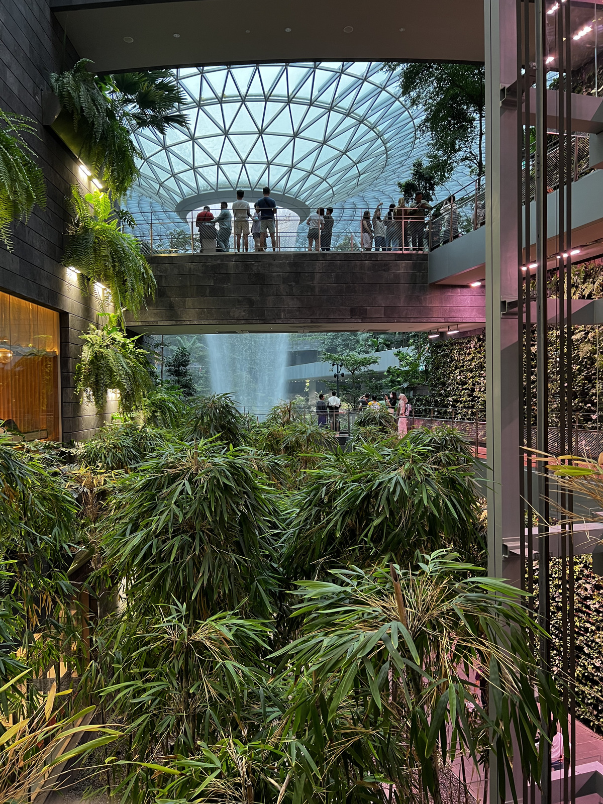 照片 新加坡(Singapore) 新加坡樟宜机场(Singapore Changi Airport) 2023-01 56