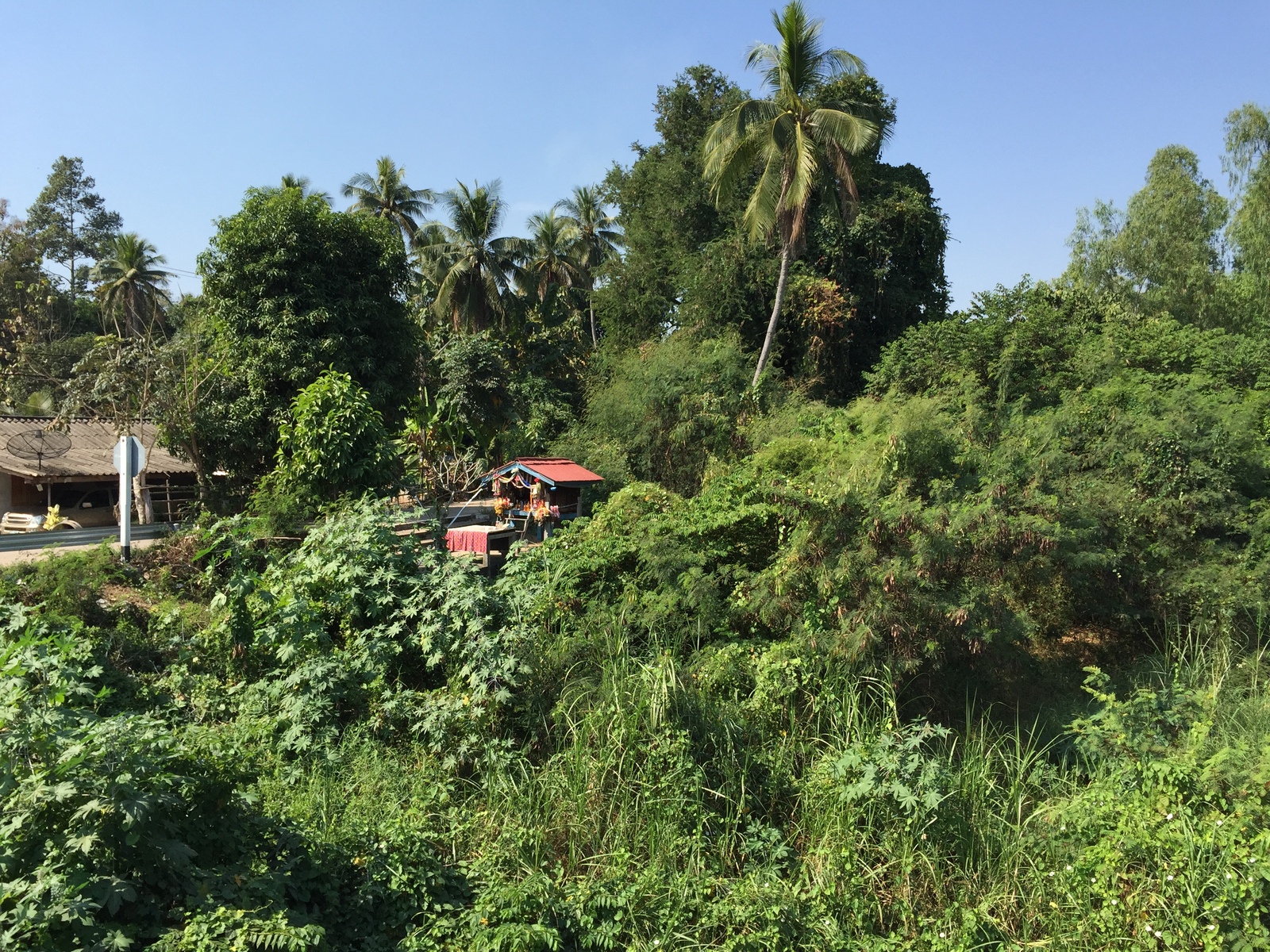照片 泰国(Thailand) 彭世洛(Phitsanulok) 2014-12 48