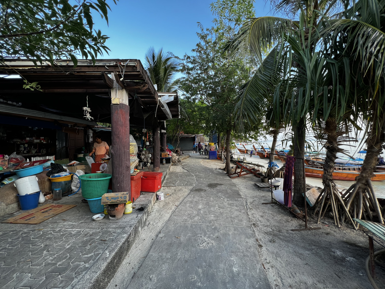 照片 泰国(Thailand) 大皮皮岛(Ko Phi Phi Don) 2021-12 186