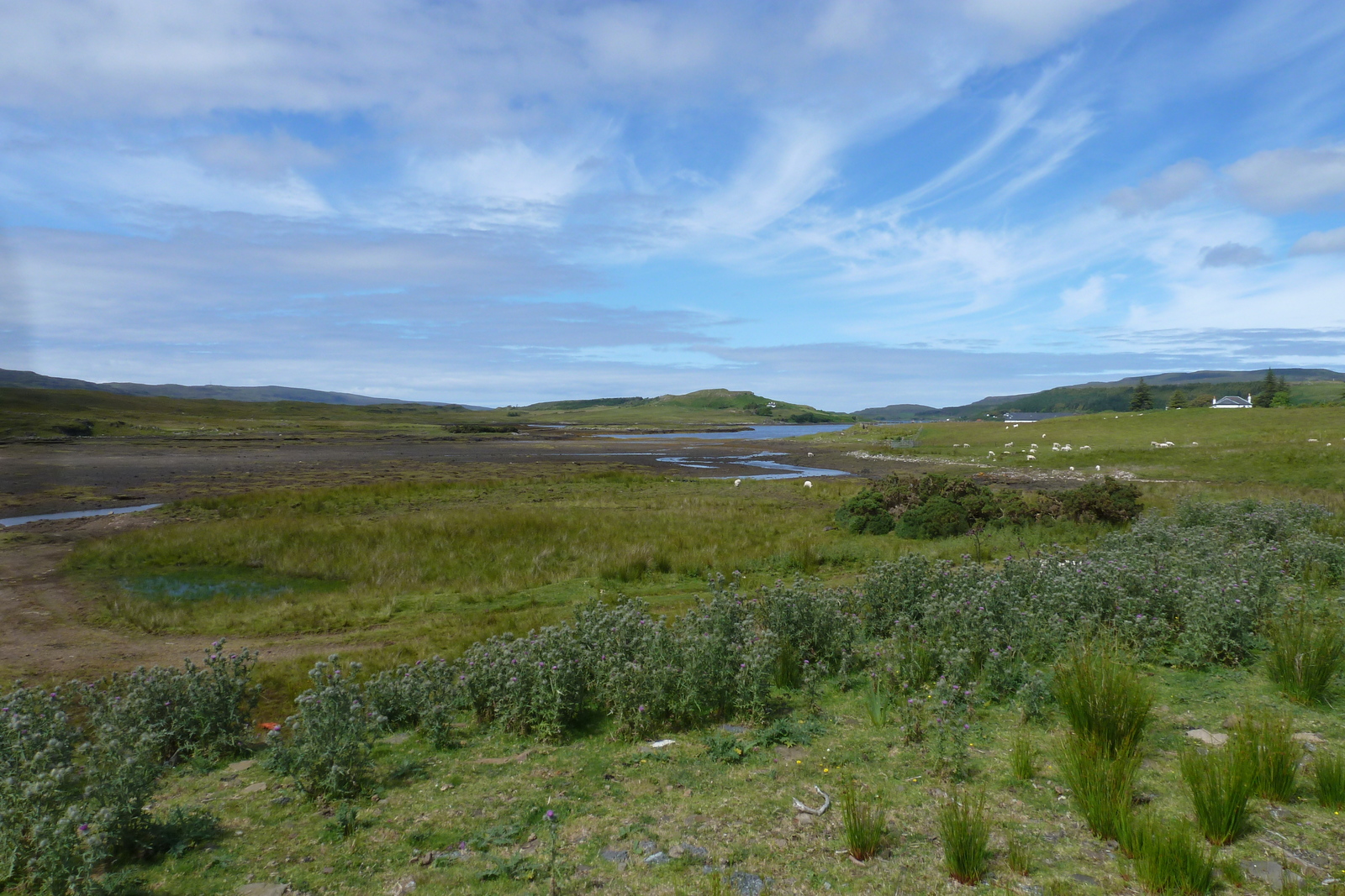 照片 英国(United Kingdom) 斯凯岛(Skye) 2011-07 149