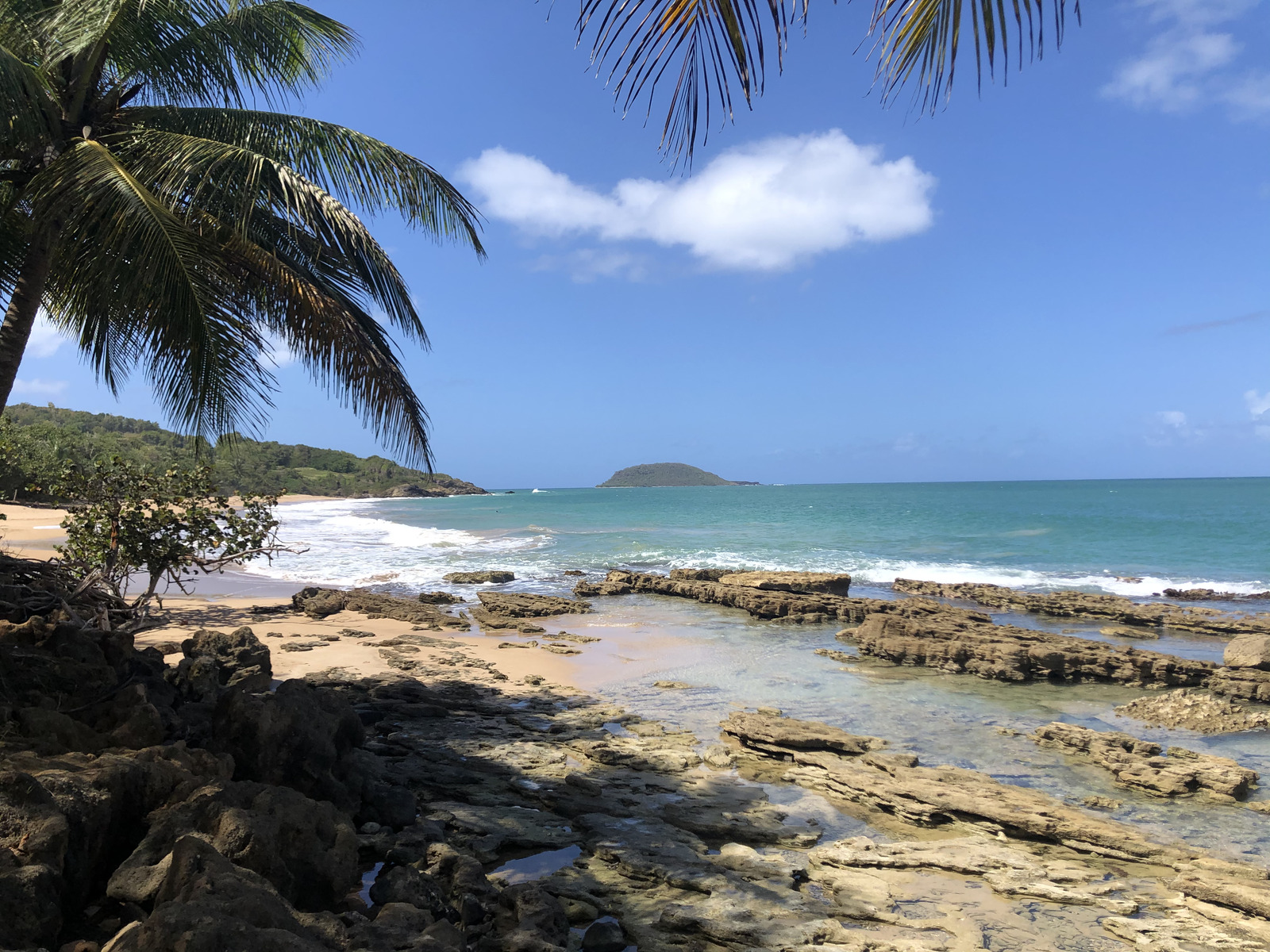照片 瓜德罗普(Guadeloupe) 克吕尼海滩(Clugny Beach) 2021-02 2