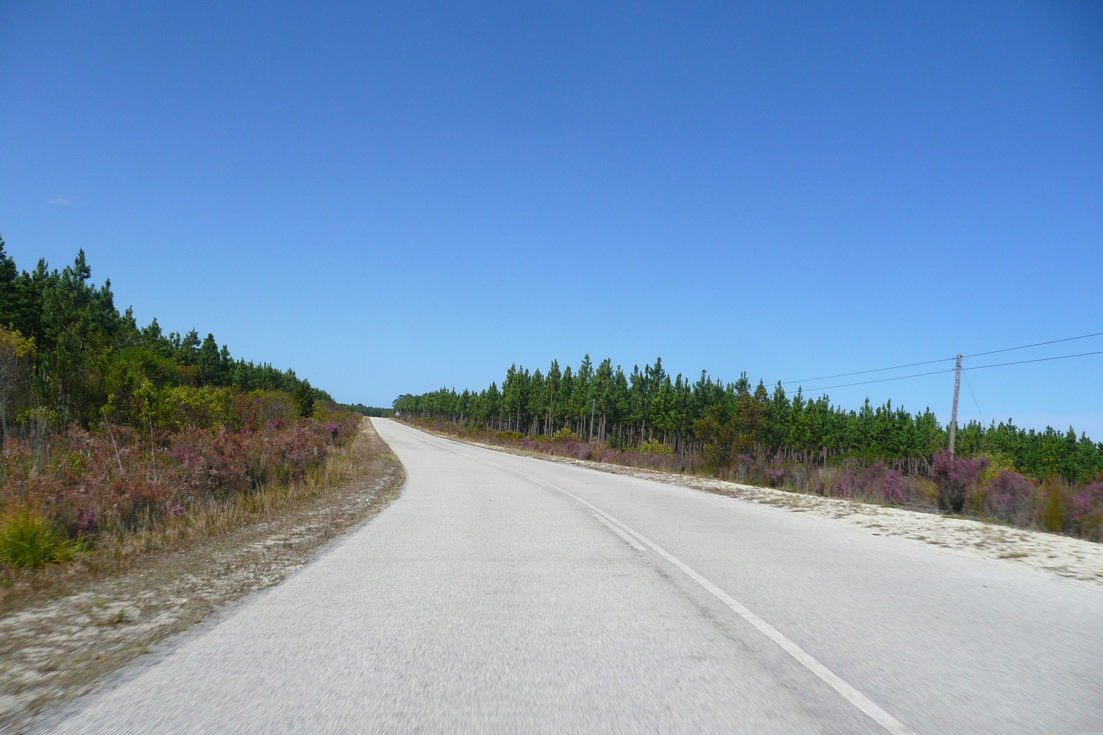 照片 南非(South Africa) 克尼斯纳至伊丽莎白港公路(Knysna to Port Elizabeth road) 2008-09 4