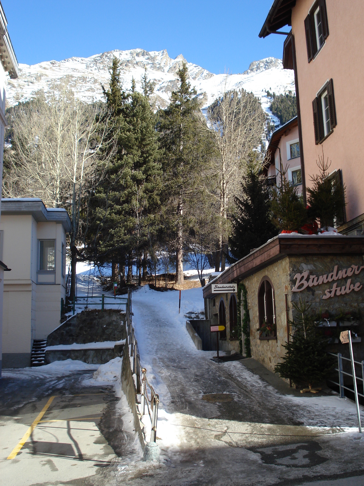 照片 瑞士(Switzerland) 蓬特雷西纳(Pontresina) 2007-01 162