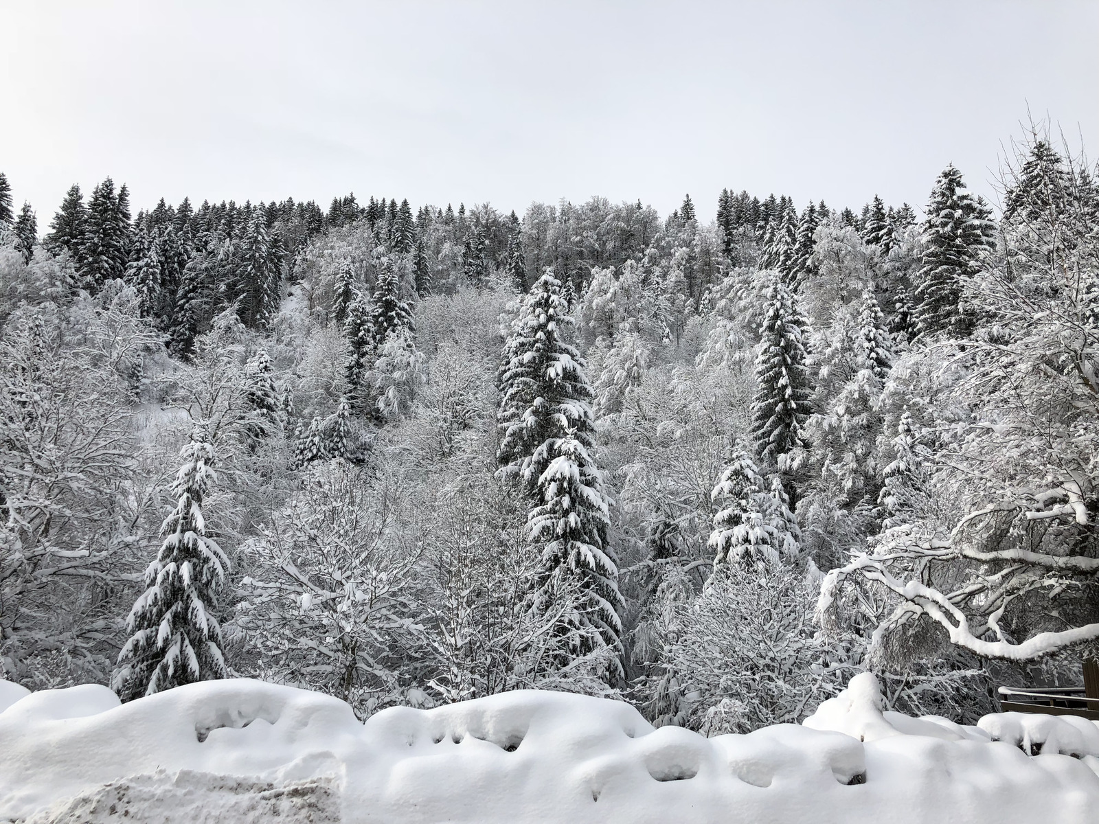 照片 法国(France) 拉克吕萨(La Clusaz) 2017-12 295