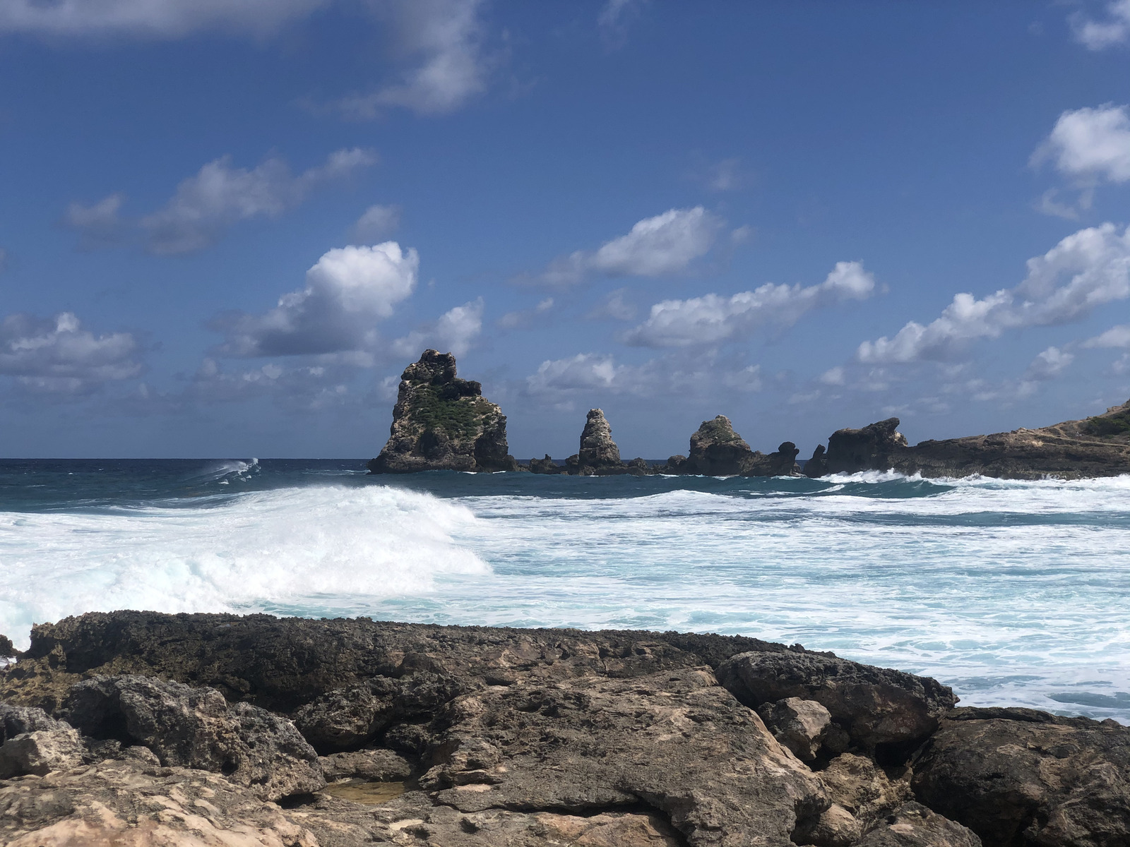 照片 瓜德罗普(Guadeloupe) 城堡角(Castle Point) 2021-02 68