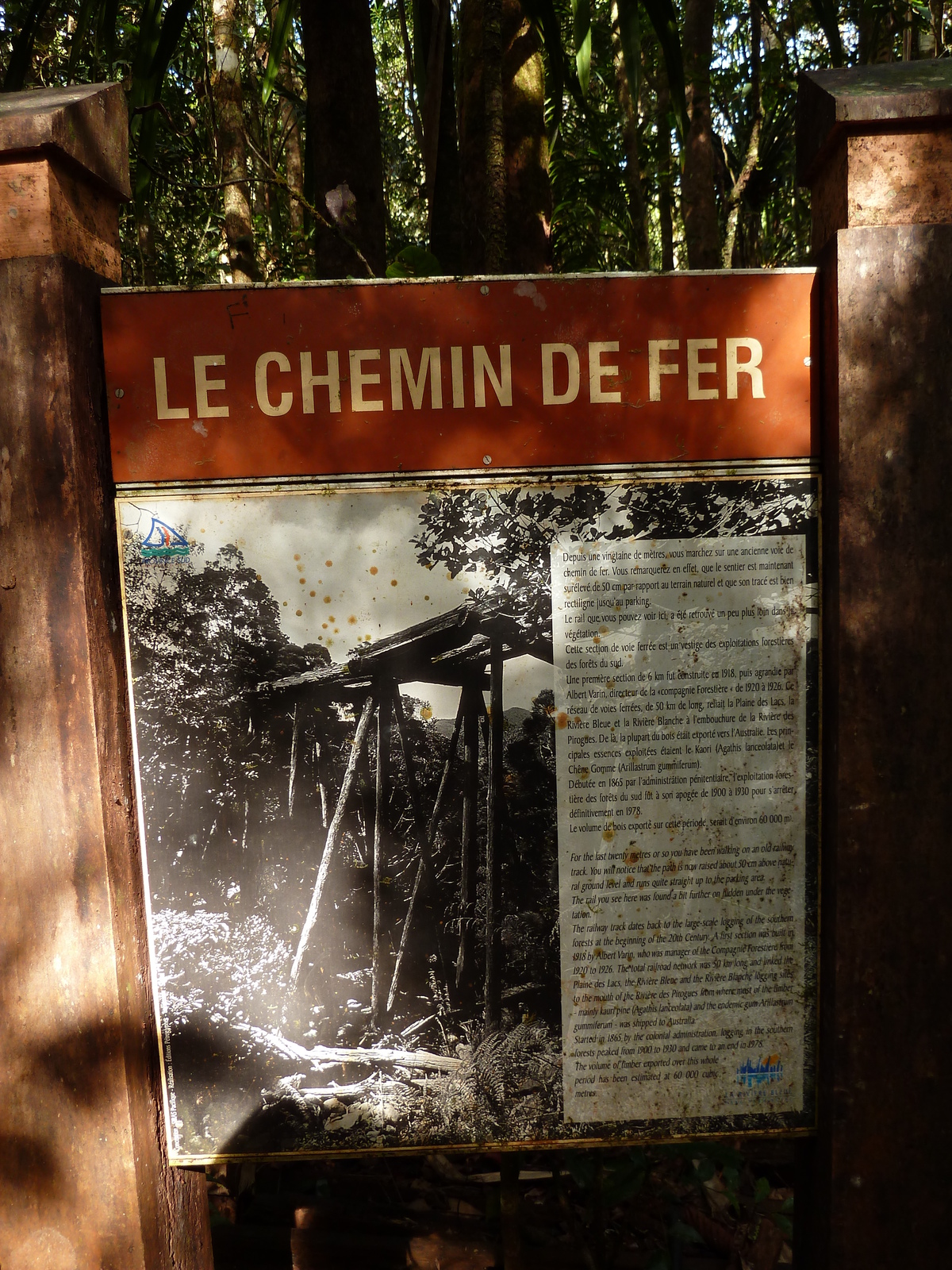 照片 新喀里多尼亚(New Caledonia) 蓝河公园(Parc de la Riviere Bleue) 大贝壳杉(Le Grand Kaori) 2010-05 33