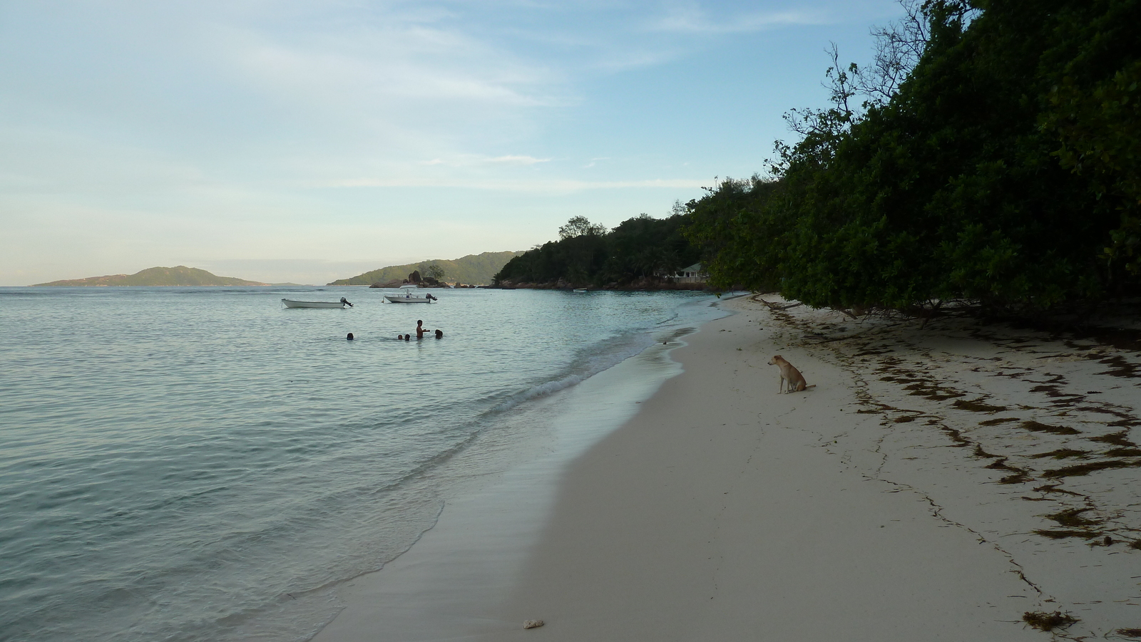 照片 塞舌尔(Seychelles) 普拉兰岛(Praslin) 2011-10 207