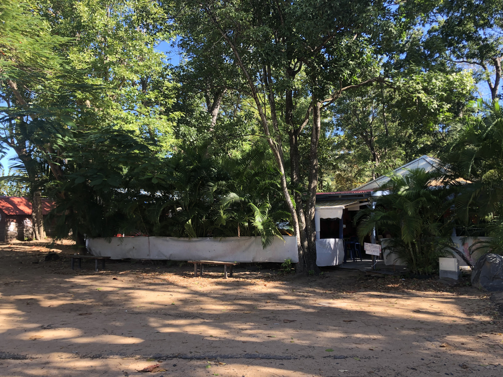 照片 瓜德罗普(Guadeloupe) 大湾海滩(Grande Hanse Beach) 2021-02 11