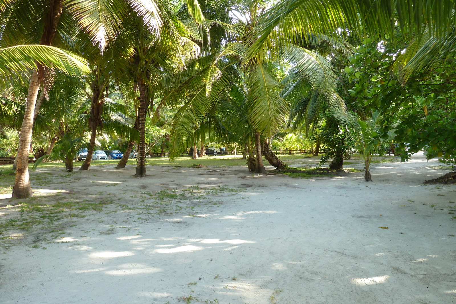 照片 塞舌尔(Seychelles) 拉齐奥湾(Anse Lazio) 2011-10 79
