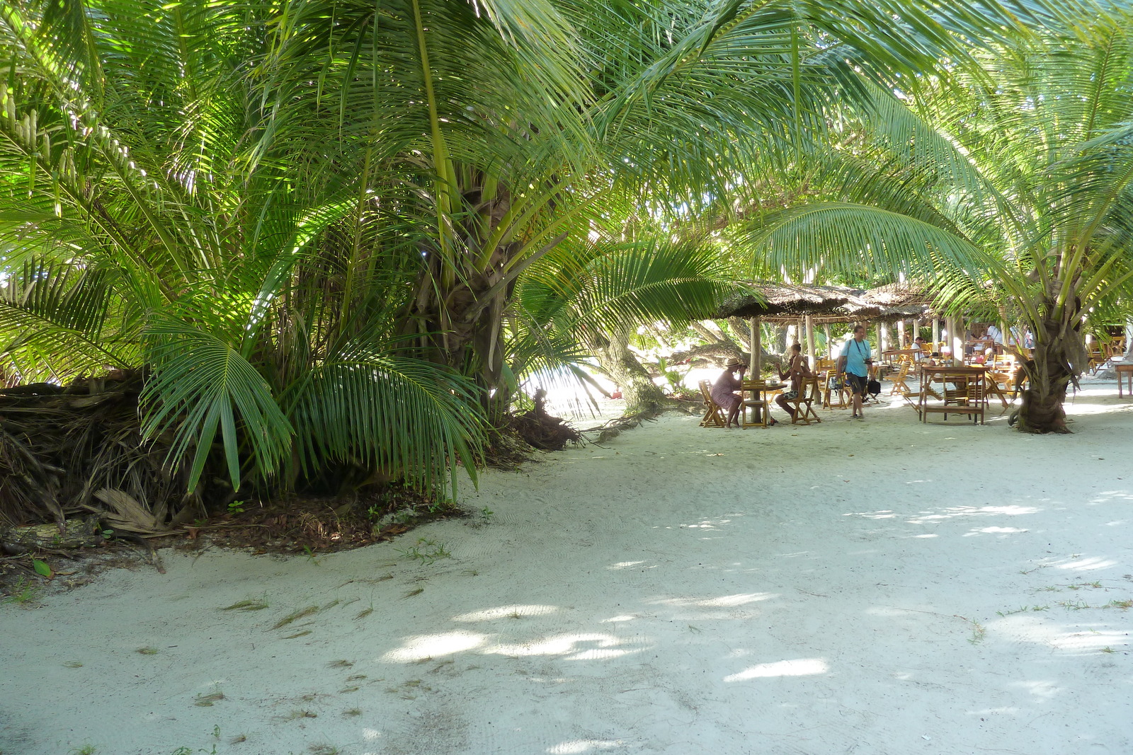 照片 塞舌尔(Seychelles) 拉齐奥湾(Anse Lazio) 2011-10 86