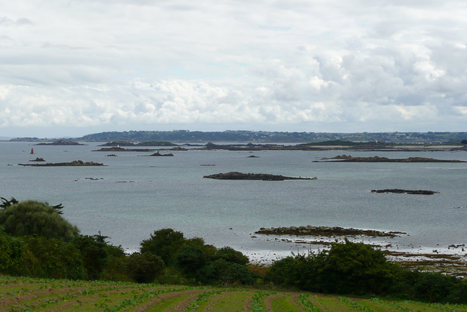 照片 法国(France) 罗斯科夫(Roscoff) 2007-08 4