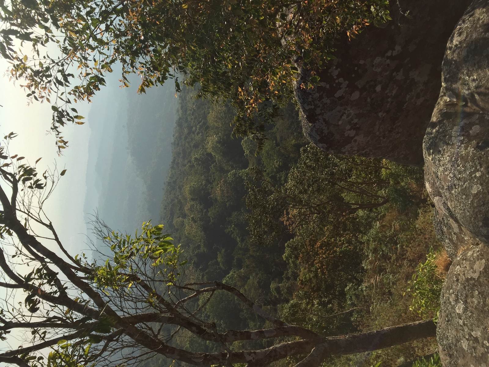 照片 泰国(Thailand) 普欣隆卡国家公园(Phu Hin Rong Kla National Park) 2014-12 391