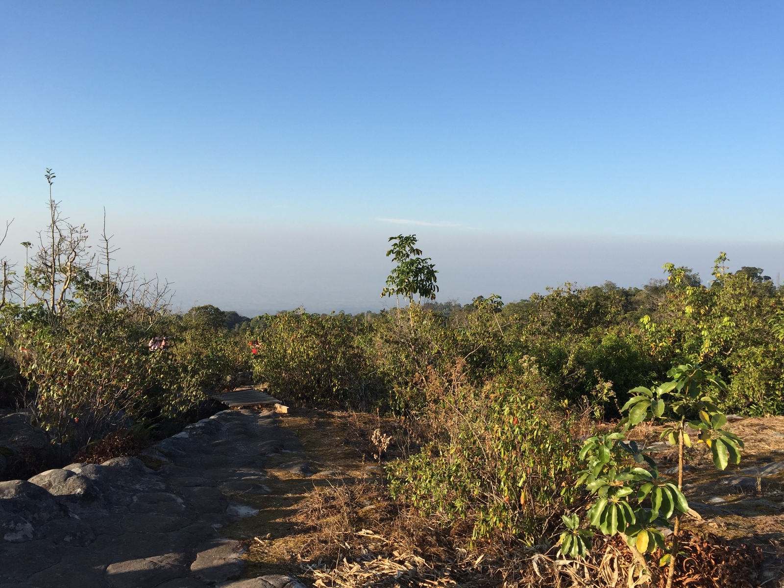 照片 泰国(Thailand) 普欣隆卡国家公园(Phu Hin Rong Kla National Park) 2014-12 381