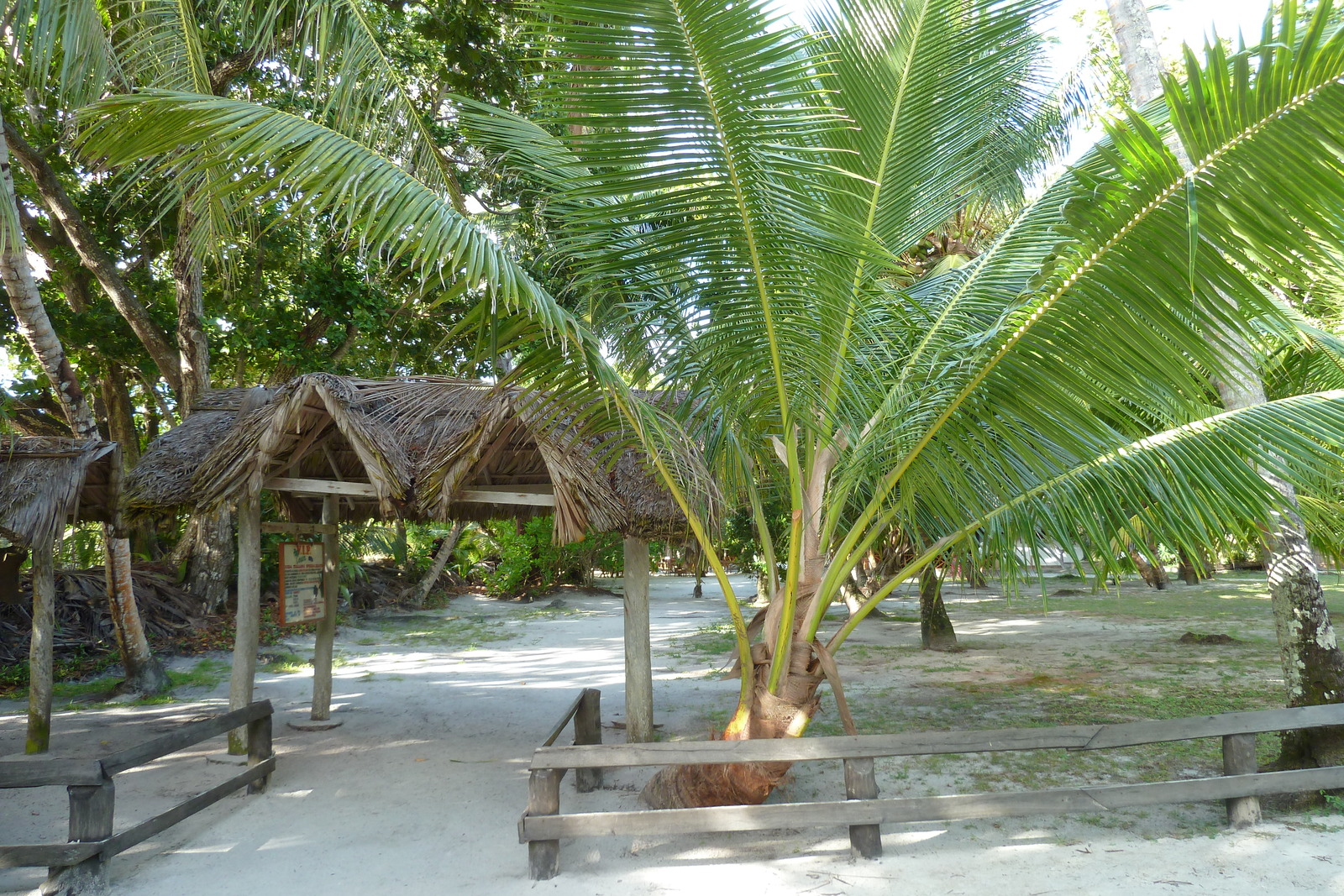 照片 塞舌尔(Seychelles) 拉齐奥湾(Anse Lazio) 2011-10 56