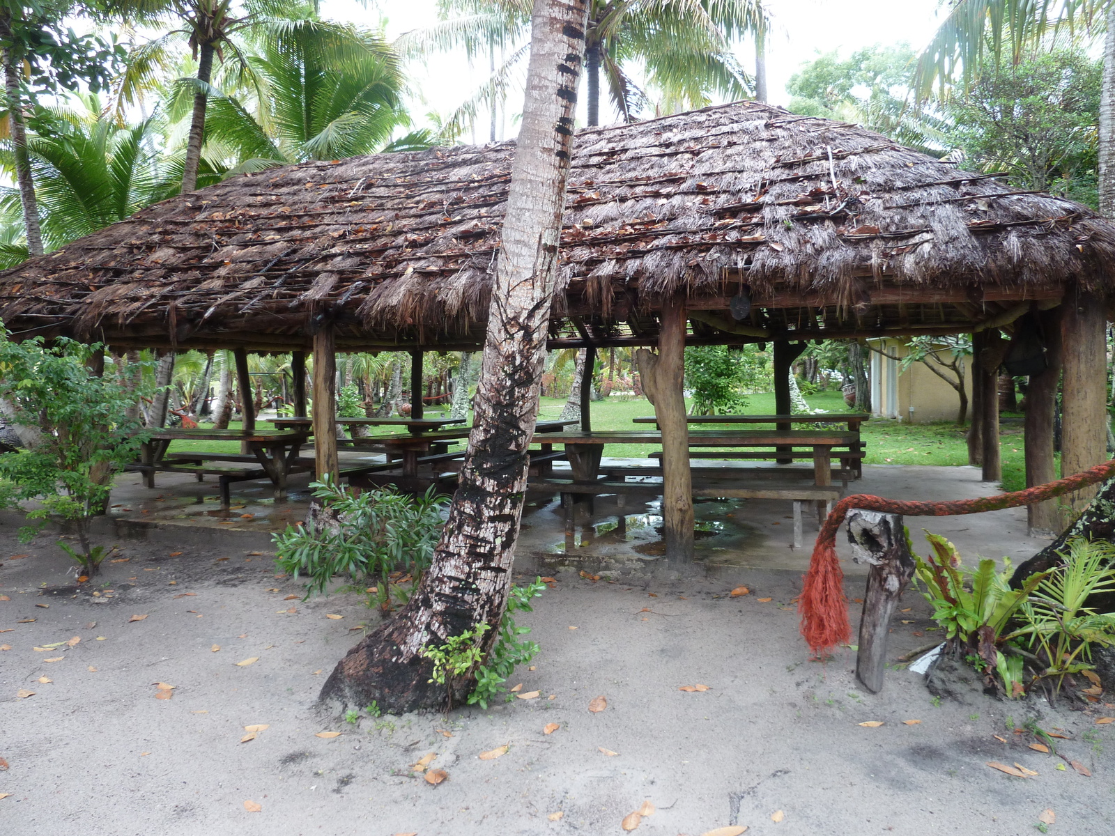 照片 新喀里多尼亚(New Caledonia) 松树岛(Ile des pins) 2010-05 4