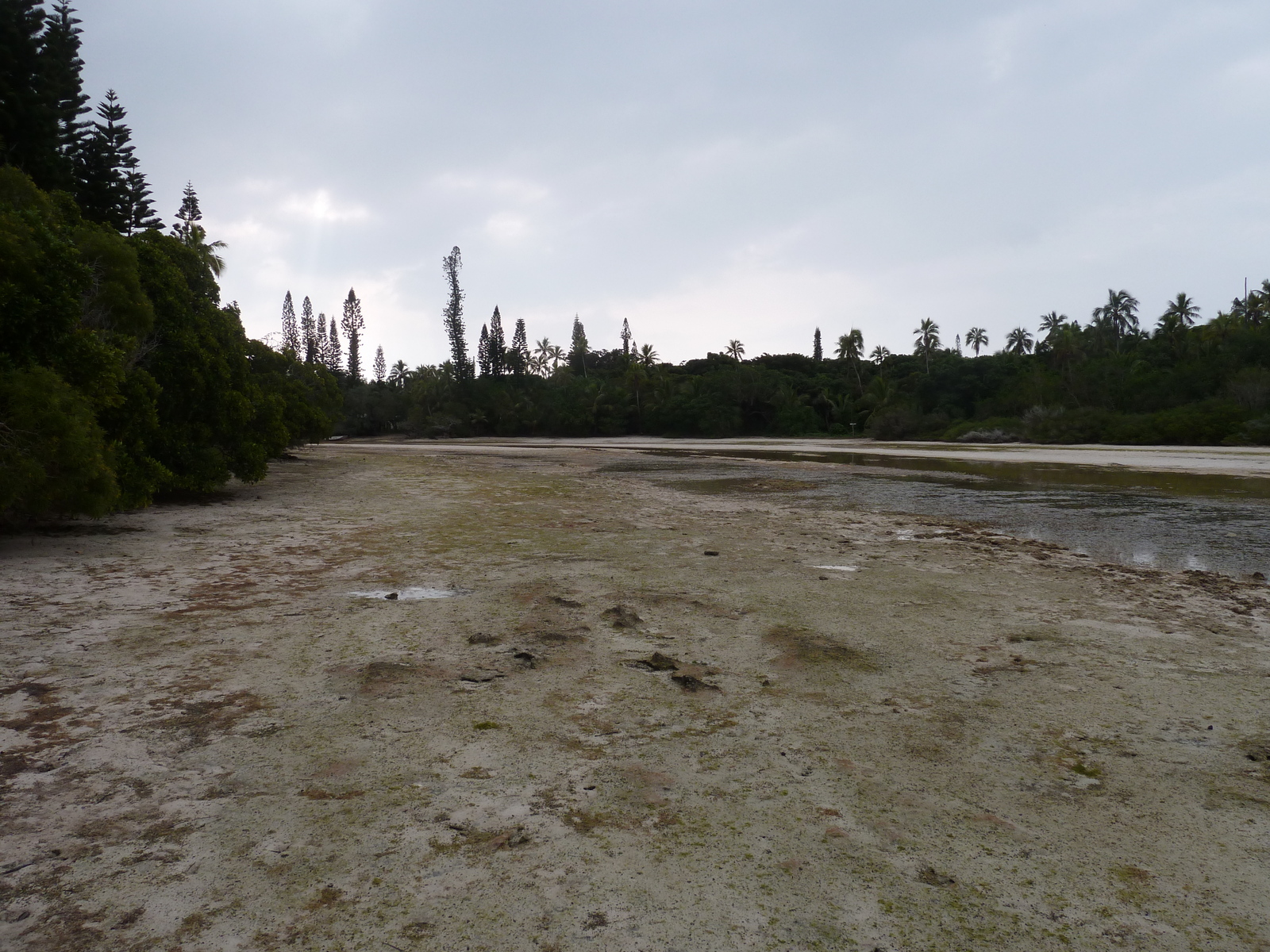 照片 新喀里多尼亚(New Caledonia) 松树岛(Ile des pins) 奥罗湾(Oro Bay) 2010-05 39