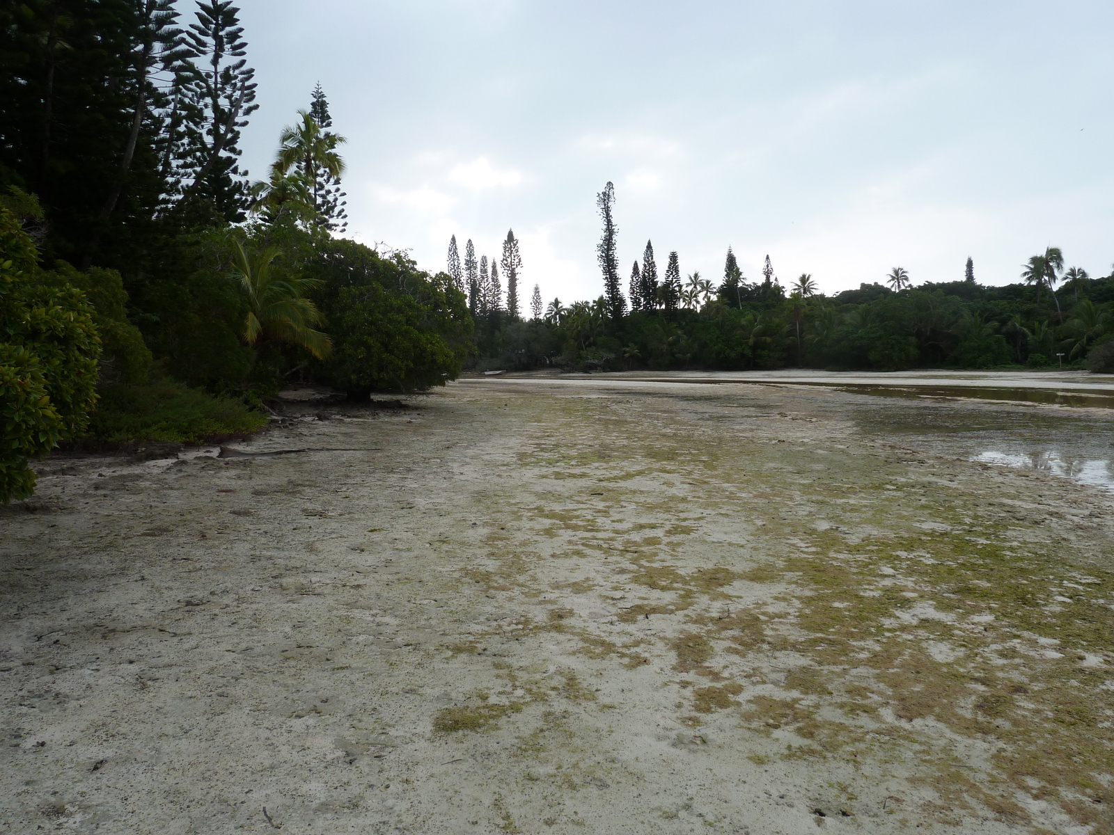 照片 新喀里多尼亚(New Caledonia) 松树岛(Ile des pins) 奥罗湾(Oro Bay) 2010-05 86