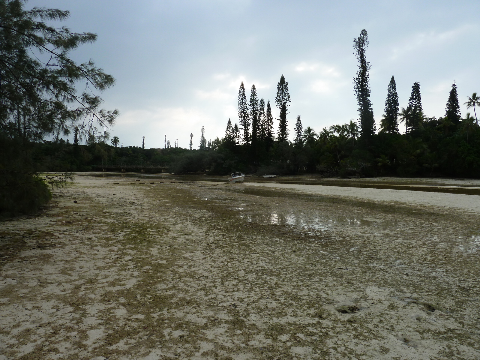 照片 新喀里多尼亚(New Caledonia) 松树岛(Ile des pins) 奥罗湾(Oro Bay) 2010-05 81