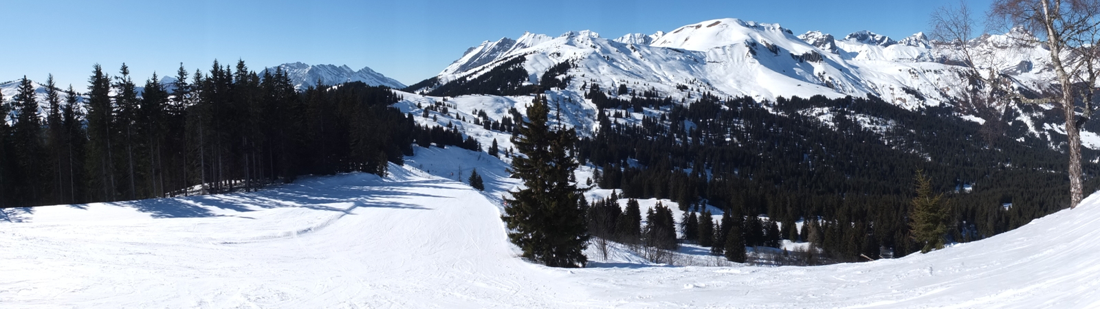 照片 法国(France) 孔布卢(Combloux) 2012-02 17