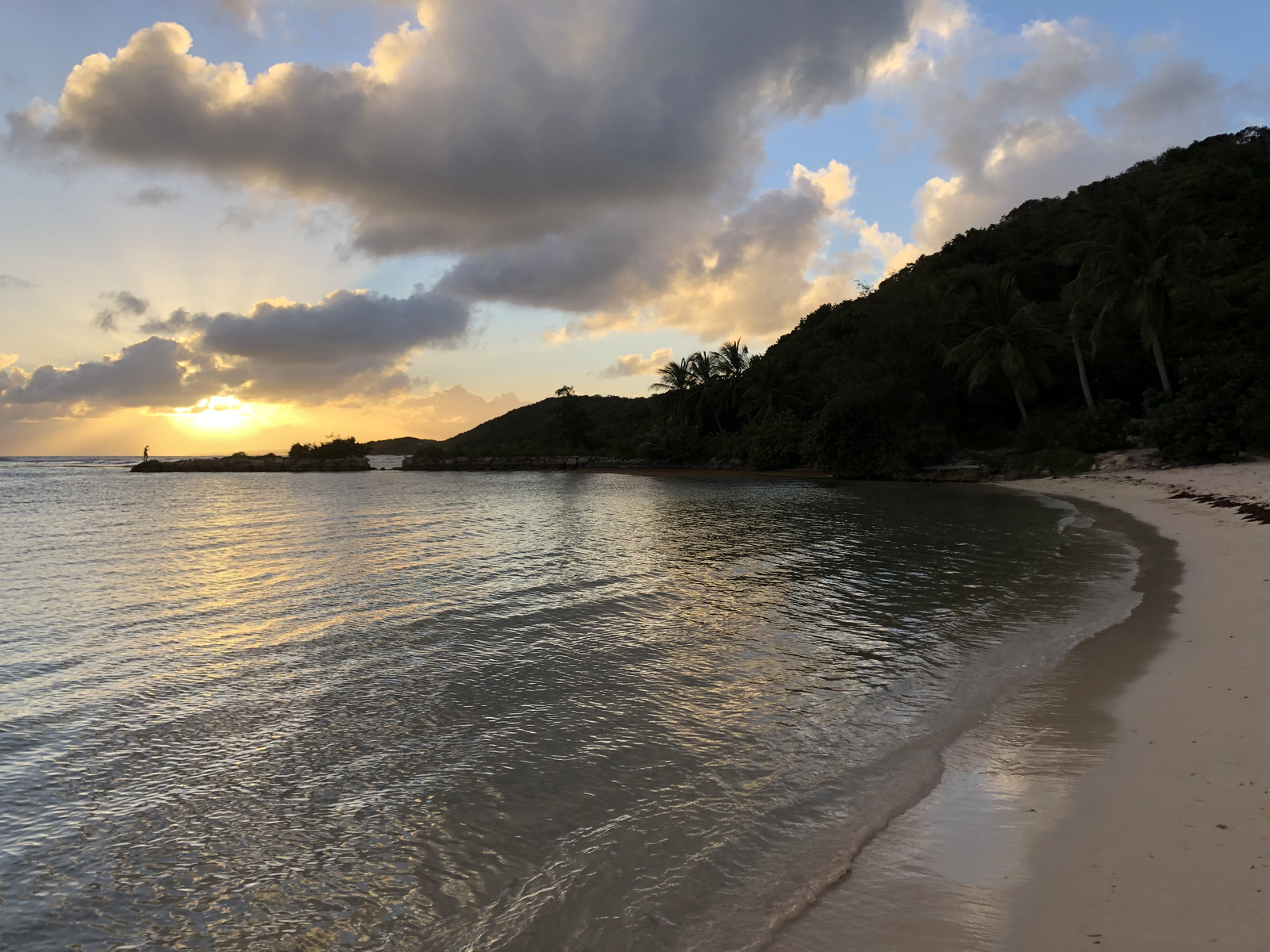 照片 瓜德罗普(Guadeloupe) 圣安妮(Sainte Anne) 2021-02 98