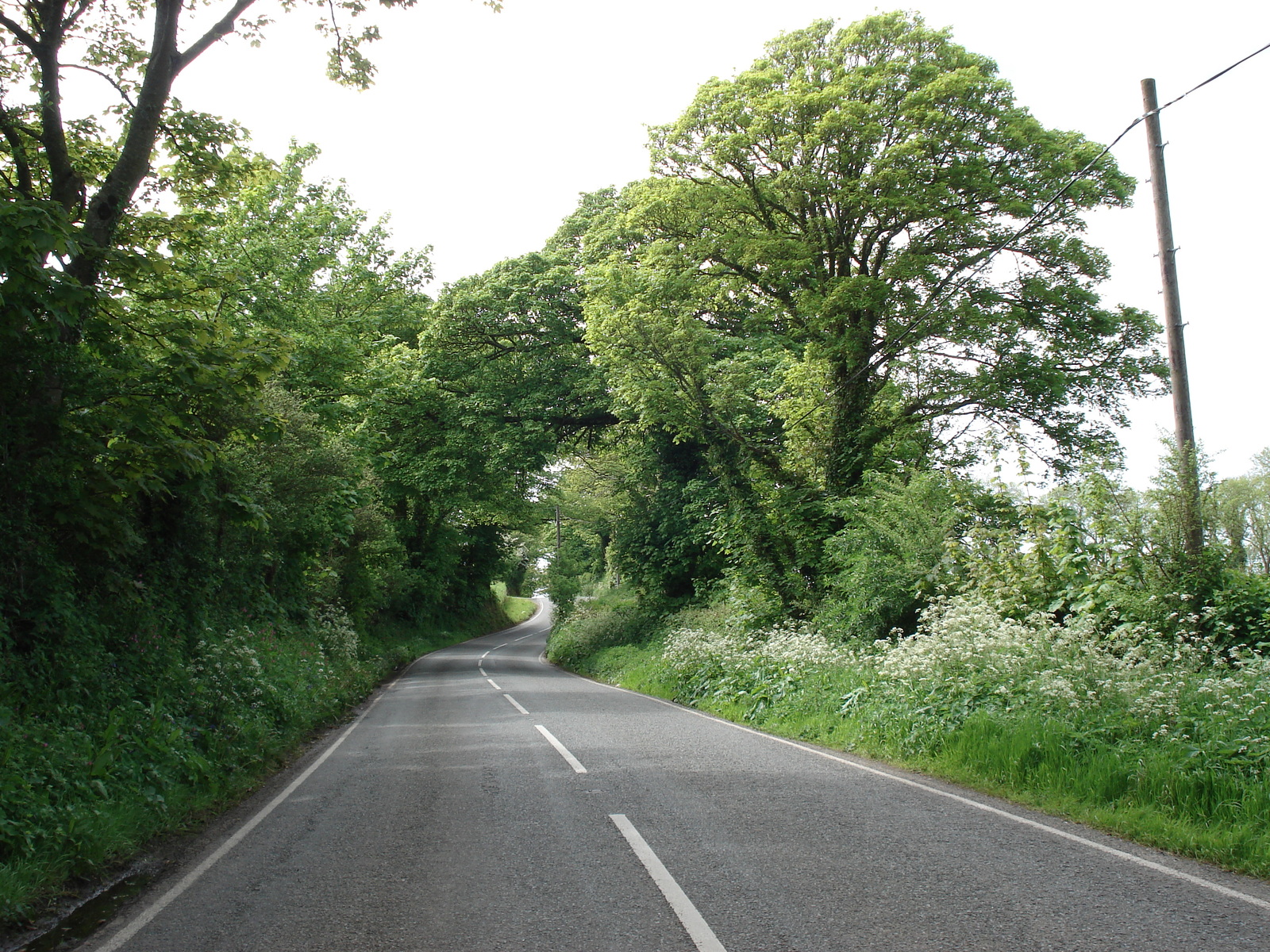 照片 英国(United Kingdom) 彭布罗克郡(Pembrokeshire) 2006-05 16