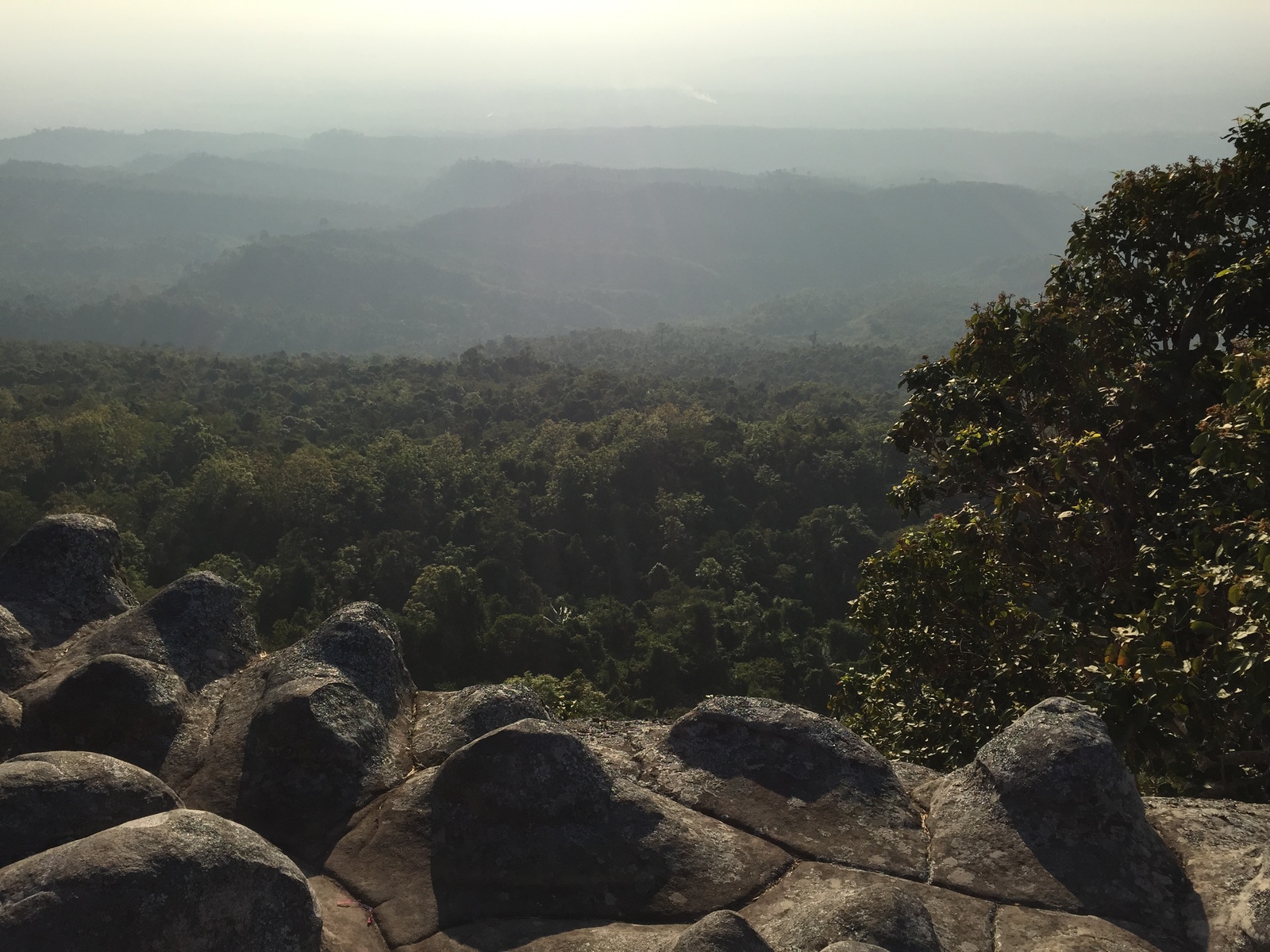 照片 泰国(Thailand) 普欣隆卡国家公园(Phu Hin Rong Kla National Park) 2014-12 390