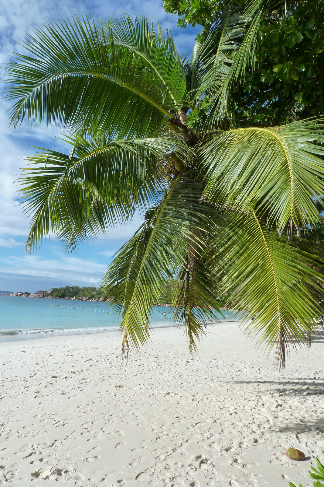 照片 塞舌尔(Seychelles) 拉齐奥湾(Anse Lazio) 2011-10 130