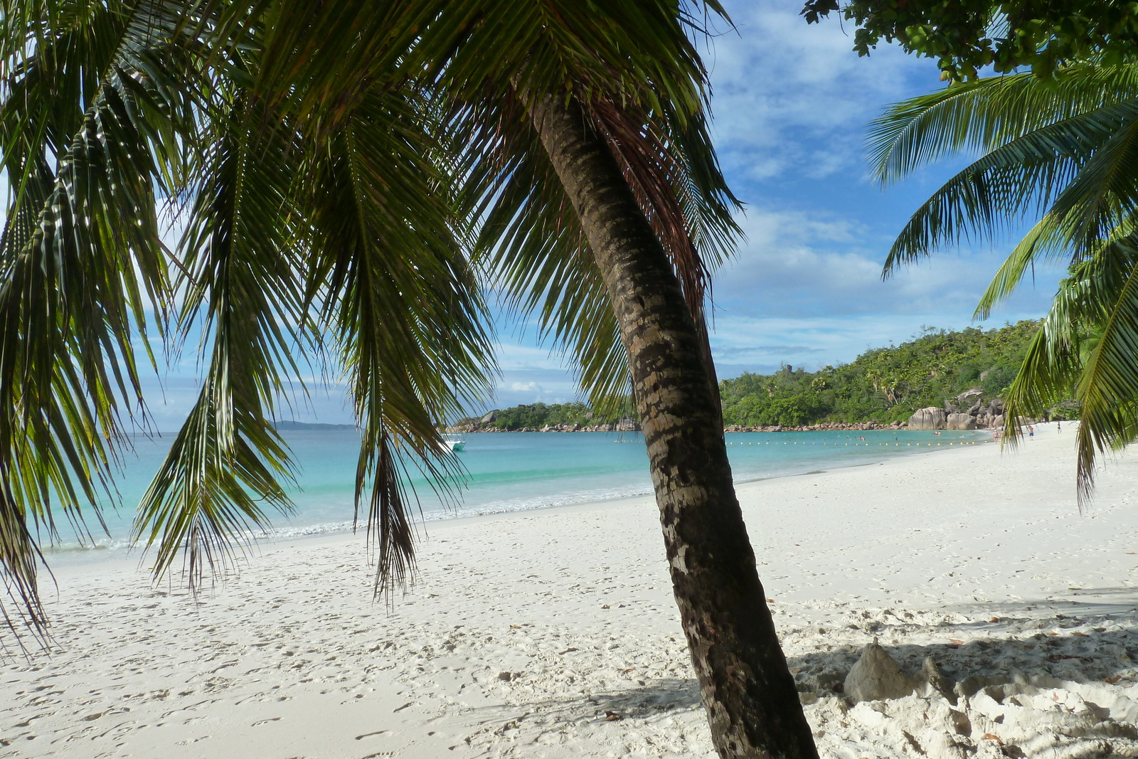 照片 塞舌尔(Seychelles) 拉齐奥湾(Anse Lazio) 2011-10 45