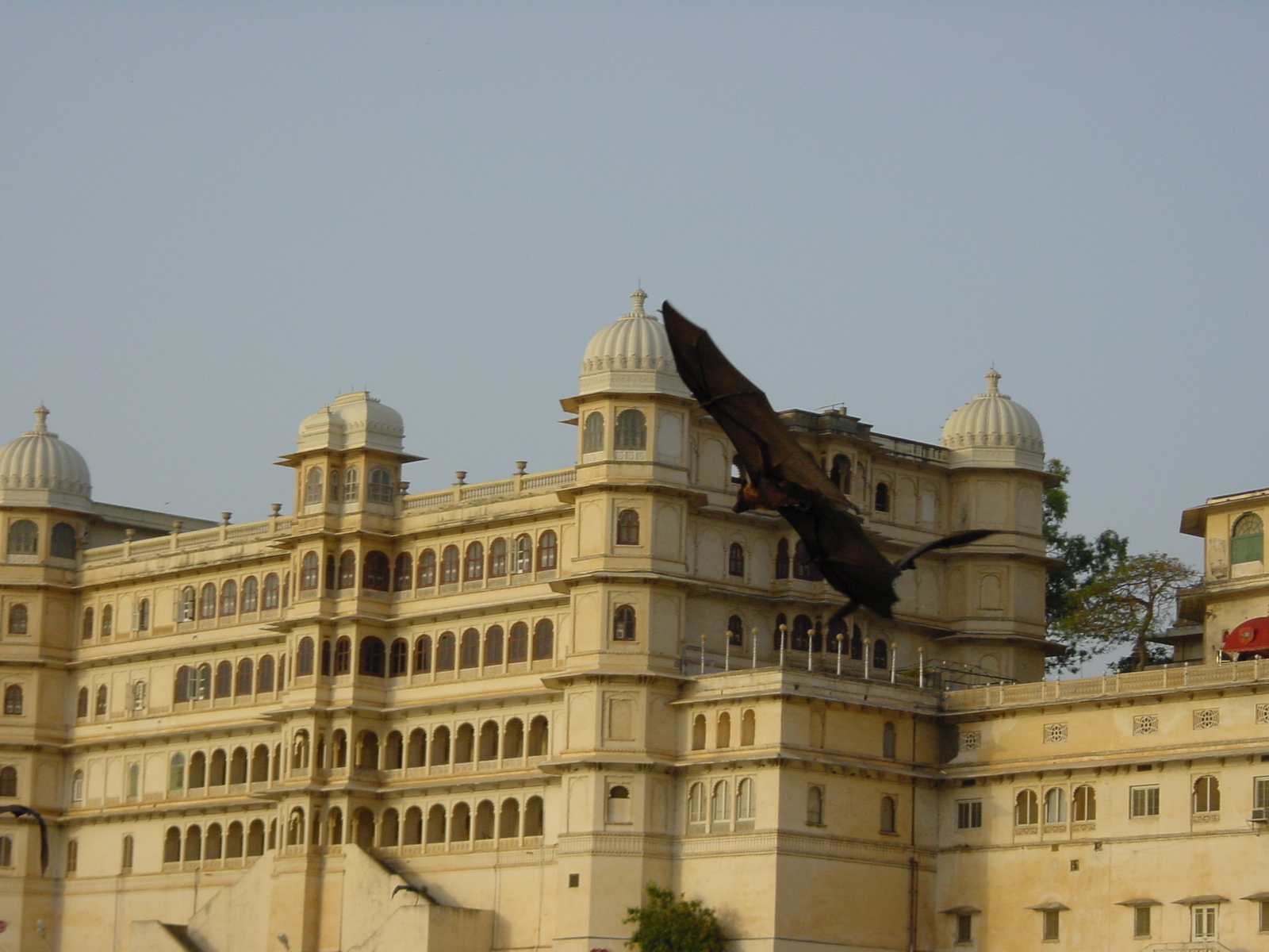 照片 印度(India) 乌代浦(Udaipur) 2003-05 19