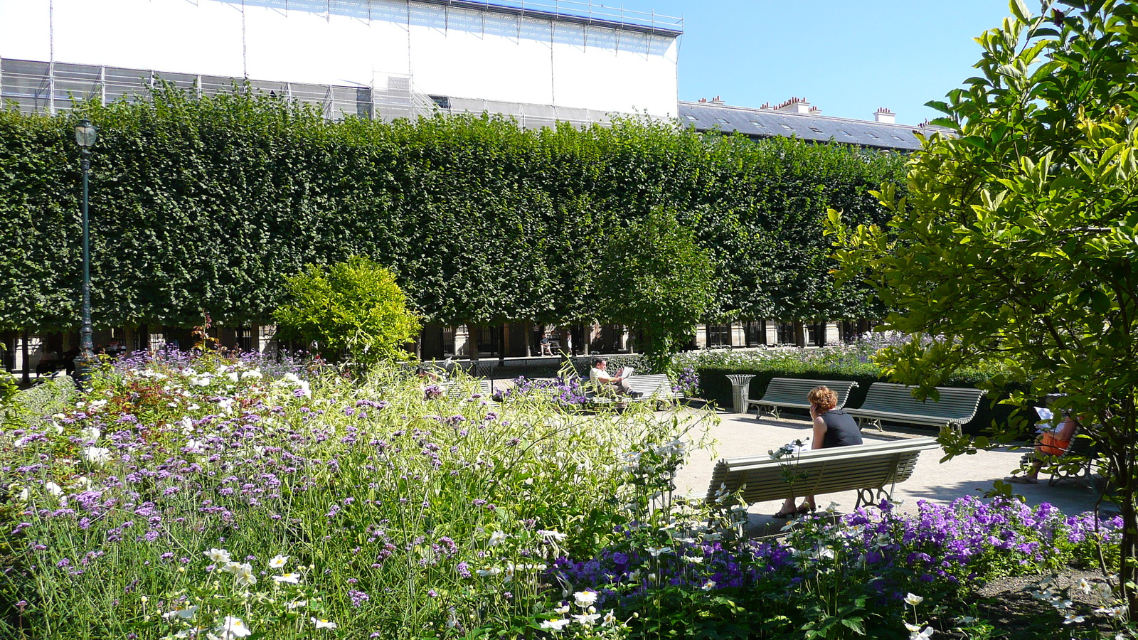 照片 法国(France) 巴黎(Paris) 皇家宫殿(Palais Royal) 2007-08 15