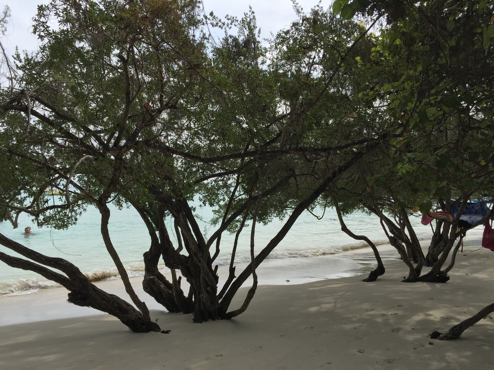 照片 泰国(Thailand) 沙美岛(Ko Samet) 2014-12 58