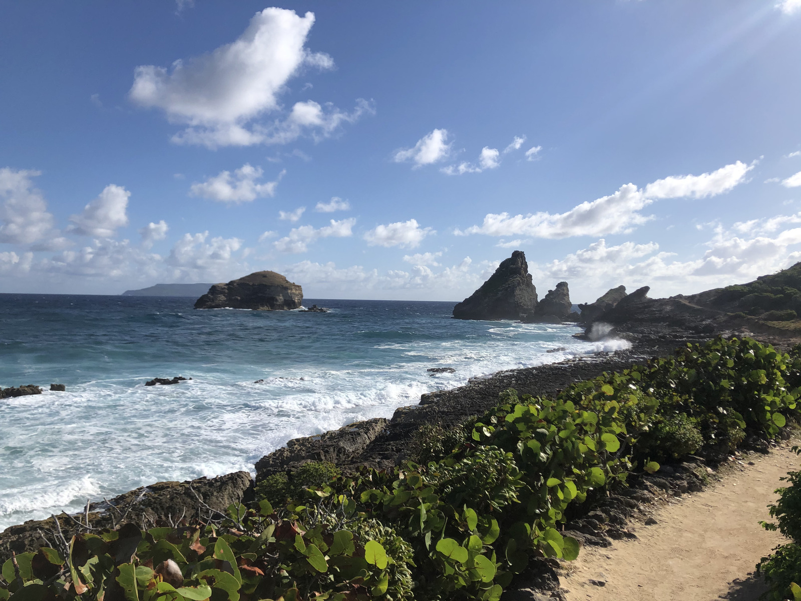 照片 瓜德罗普(Guadeloupe) 城堡角(Castle Point) 2021-02 60