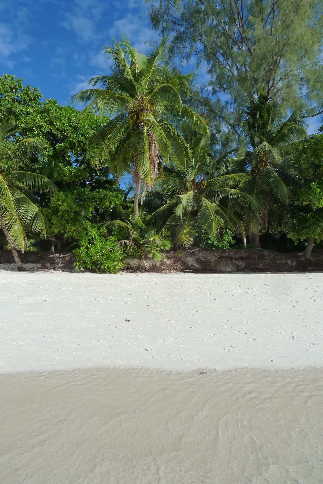 照片 塞舌尔(Seychelles) 拉齐奥湾(Anse Lazio) 2011-10 67