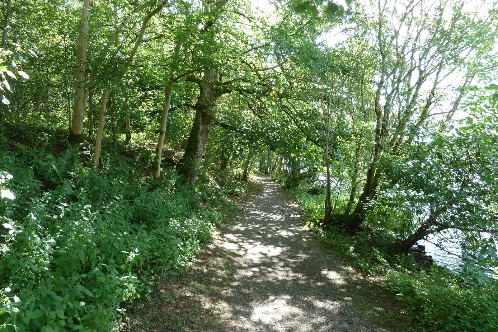 照片 英国(United Kingdom) 苏格兰(Scotland) 英奇马霍姆修道院(Inchmahome Priory) 2011-07 17